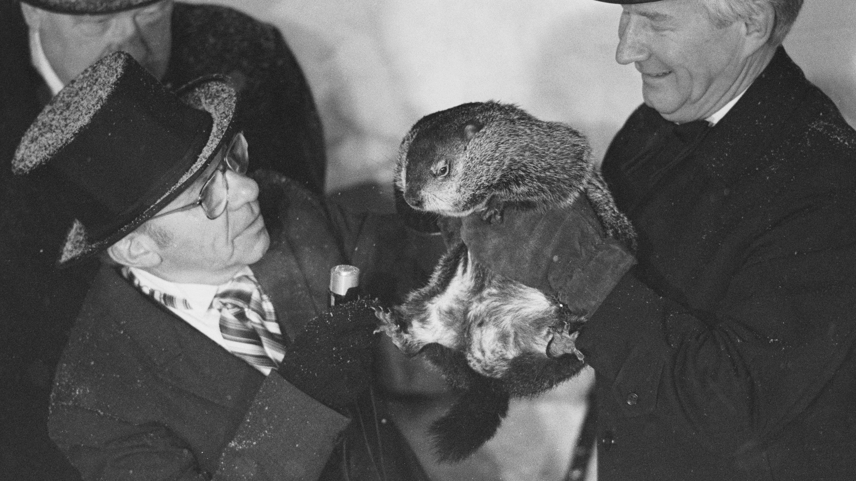 Punxsutawney, Pennsylvania: Groundhog, Punxsutawney Phil.