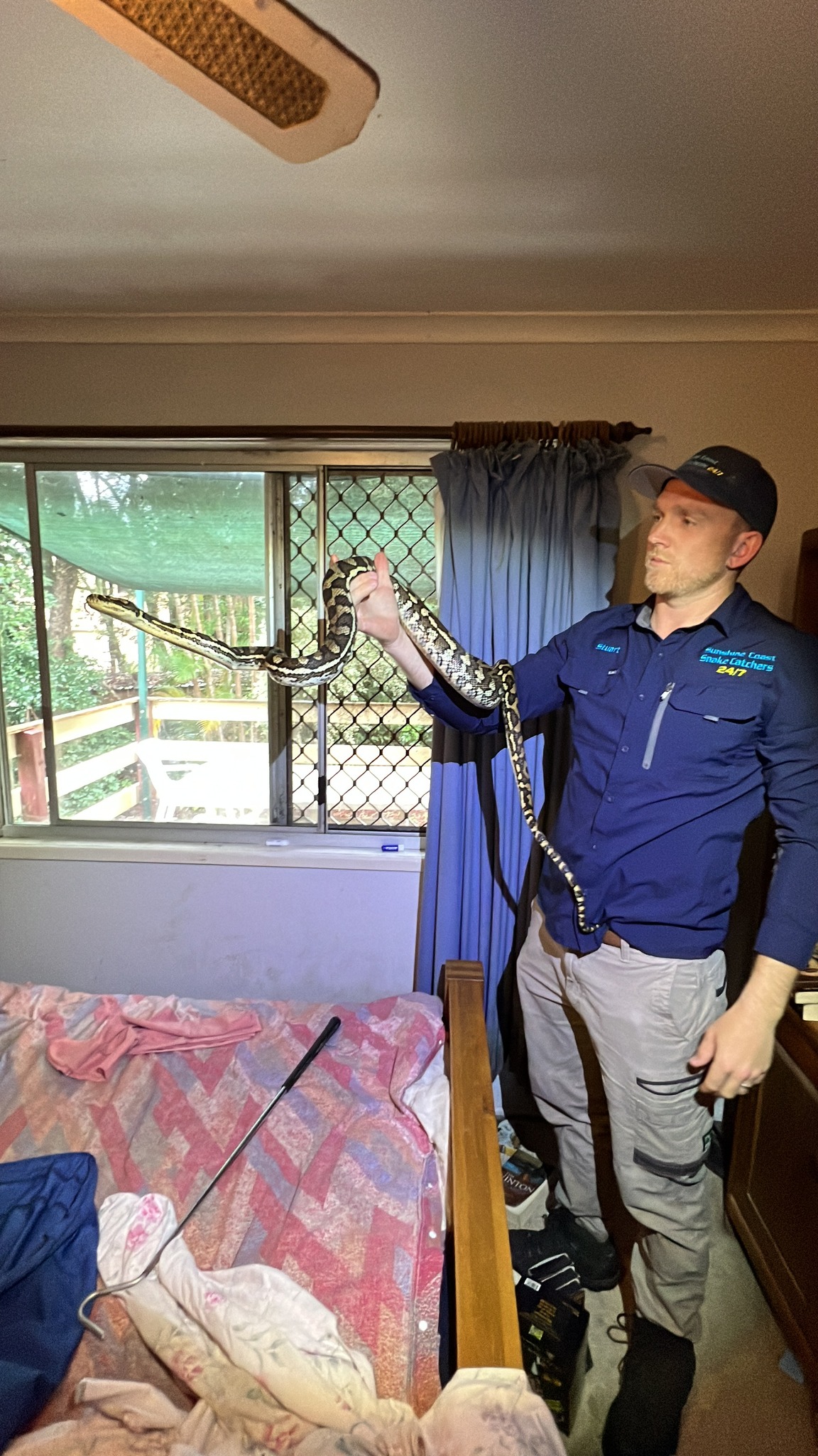 Mr McKenzie was called to the home to remove a carpet python.