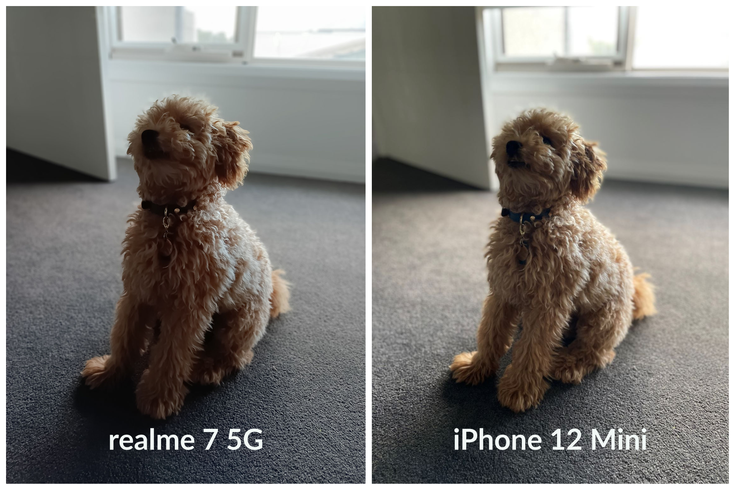 realme 7 5G camera quality comparisons.