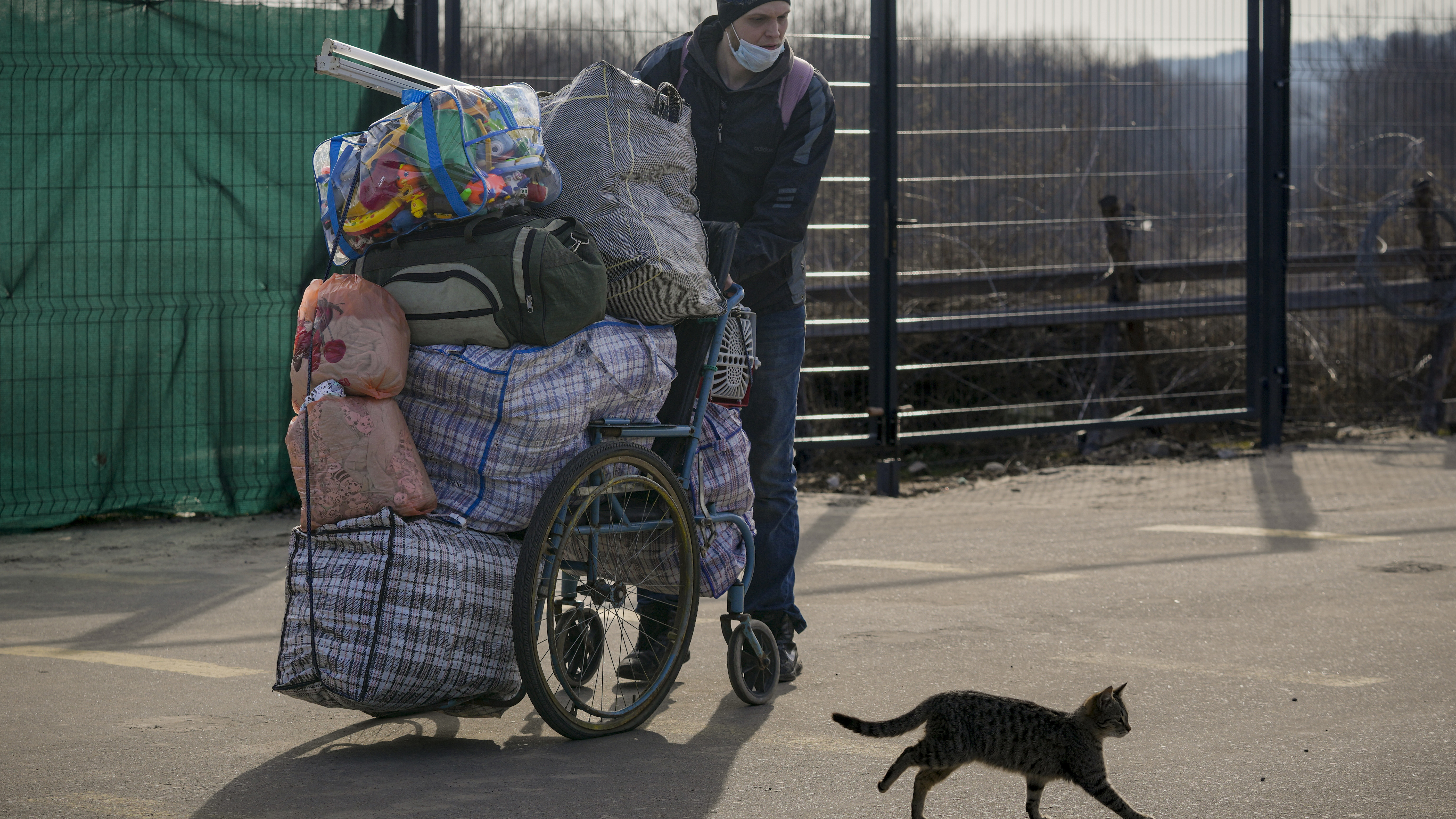 A cat runs past a man pausing before crossing with his family to Ukrainian government controlled areas from pro-Russian separatists controlled territory in Stanytsia Luhanska, in the Luhansk region, eastern Ukraine.