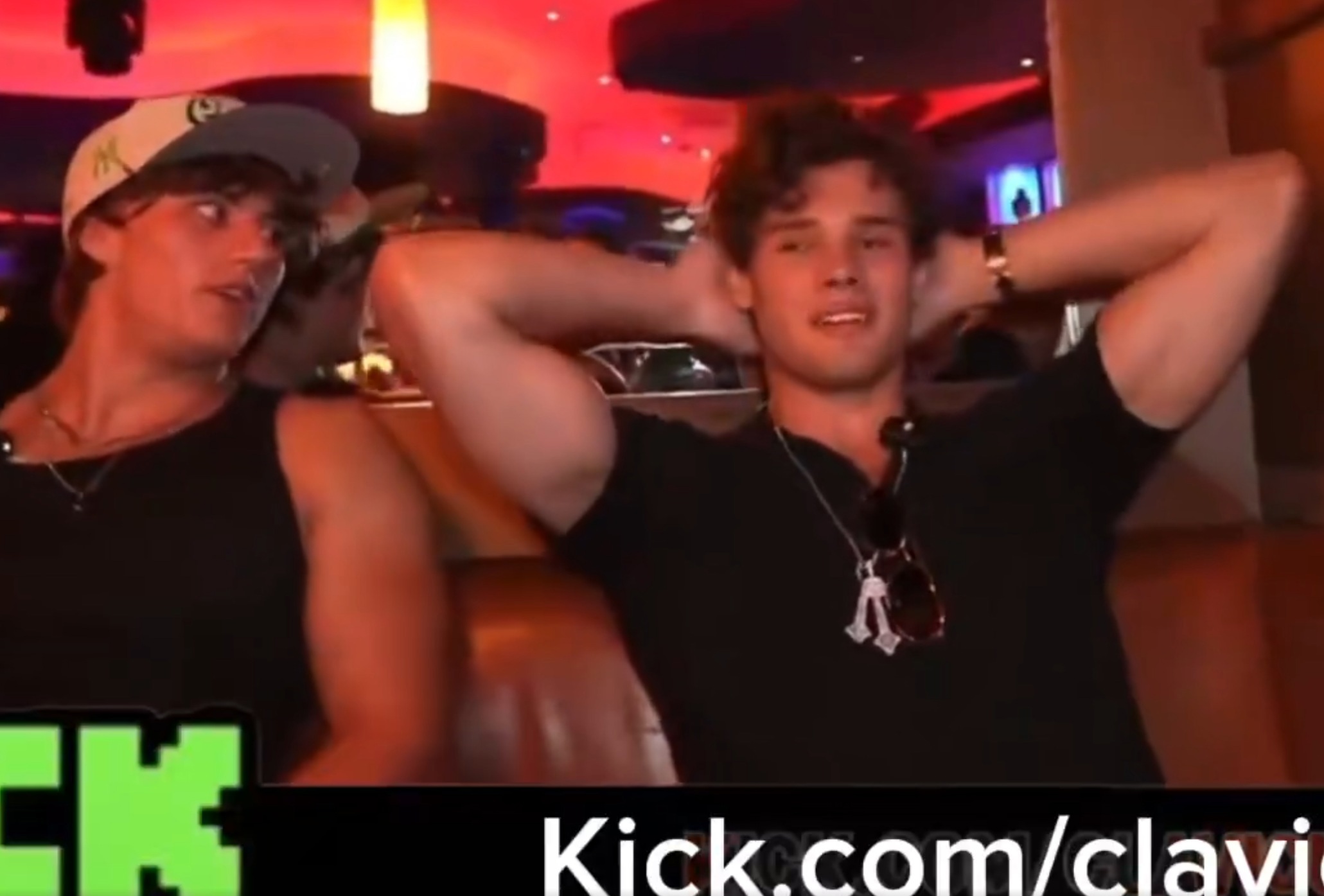 The Bio-Mechanical Extremes of Visual Optimization and the Risk of Systemic Collapse