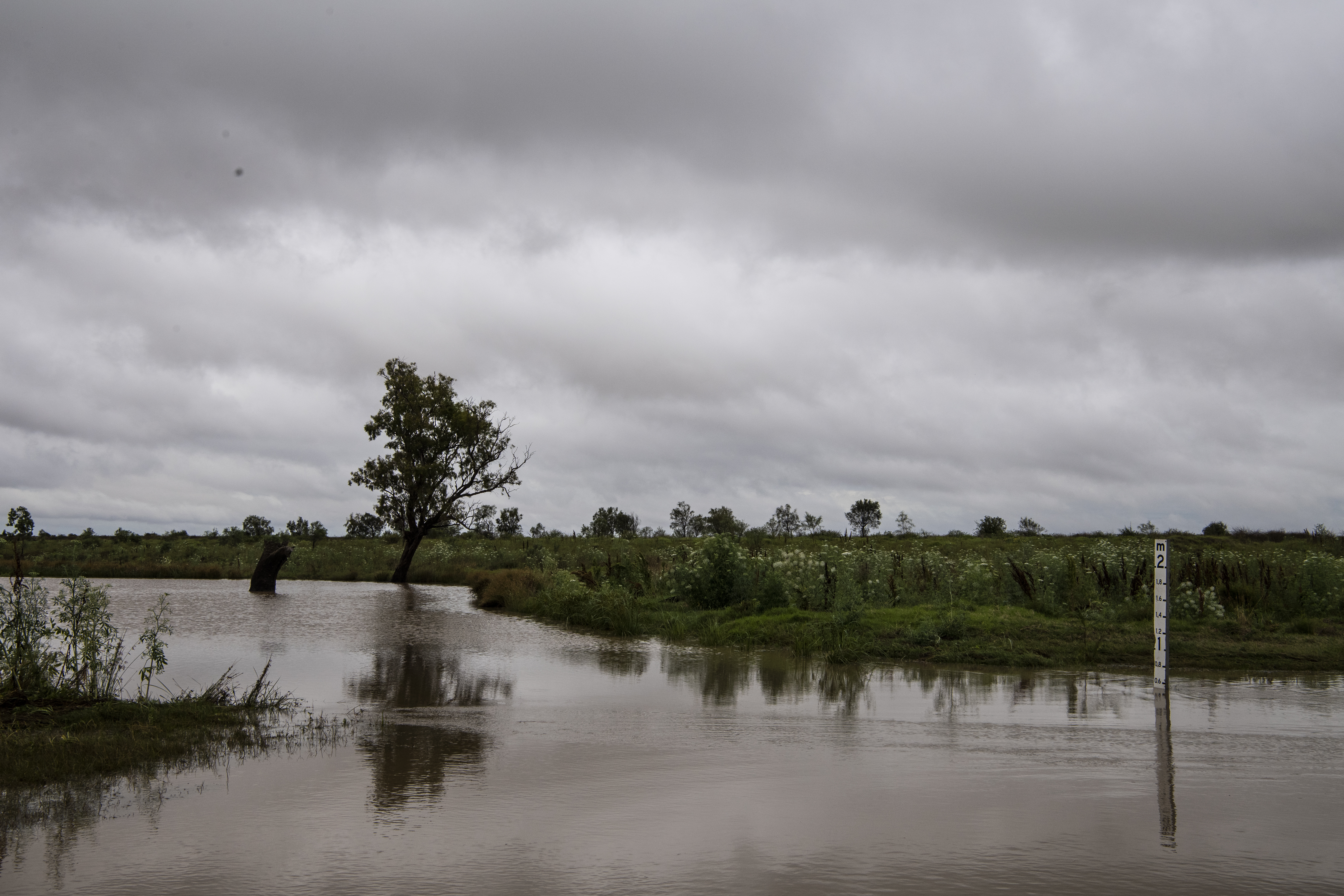 Millie Creek flooding, Millie, south of Moree. Northern Tablelands are expected to receive a month's rain in one day. 11th November 2021