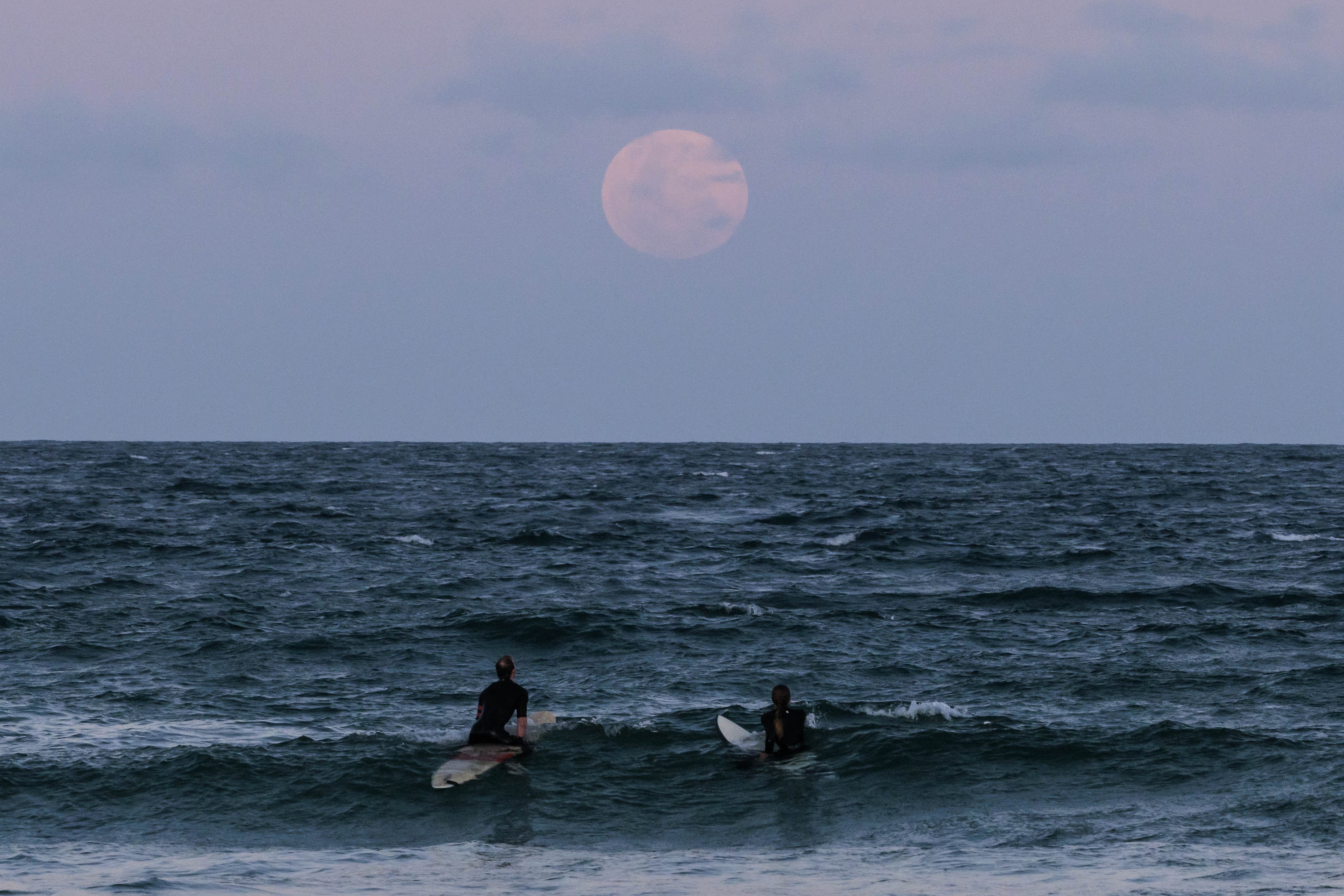 The full moon rises at Manly Beach ahead of a total lunar eclipse in Sydney on November 08, 2022 in Sydney, Australia. 