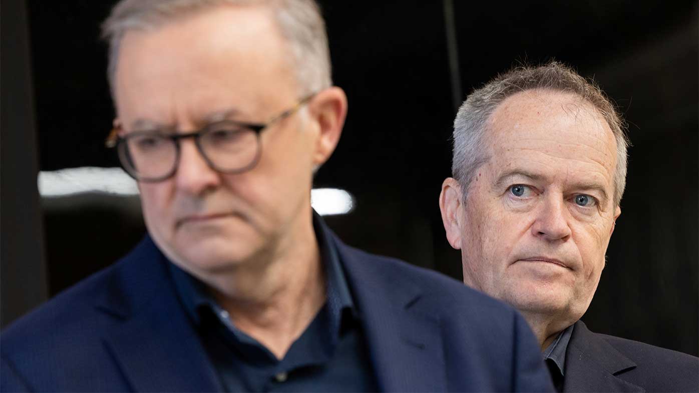 Anthony Albanese and Bill Shorten.