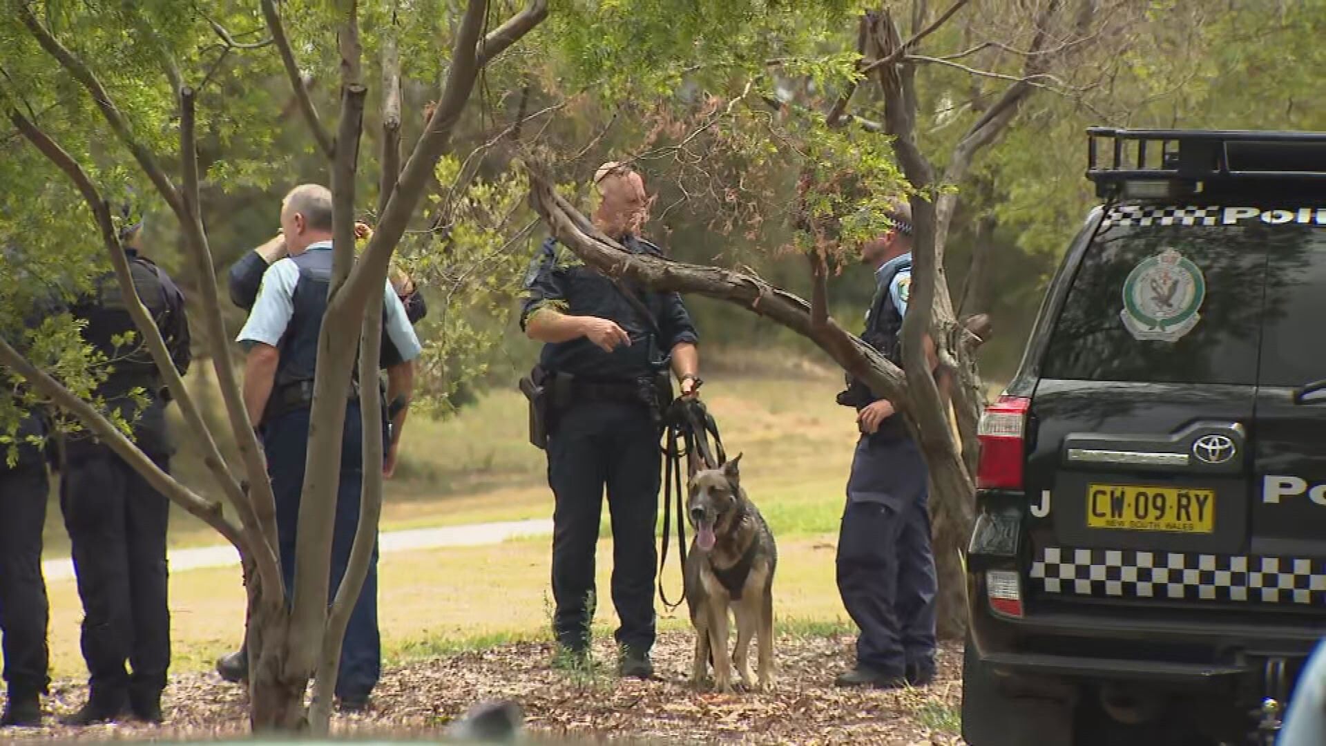 PolAir, the dog squad and the tactical response squad were among multiple police resources.