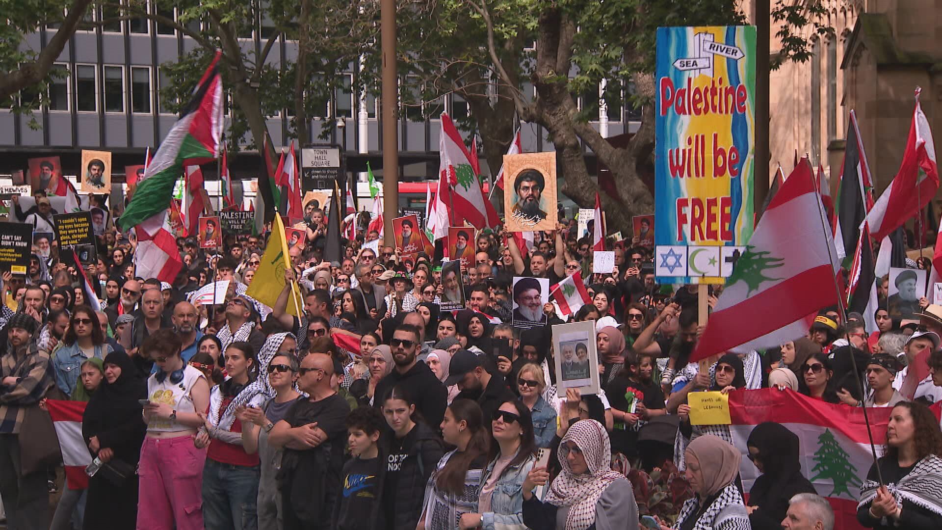 Pro-Palestine rallies