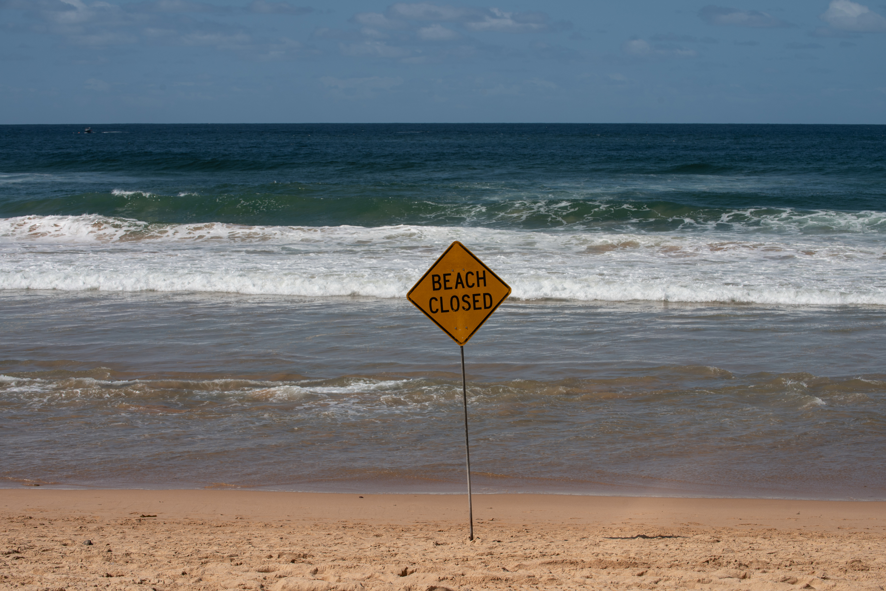 Surfer attacked by shark at Dee Why Beach in Sydney, on September 06, 2025 Photo: Flavio Brancaleone/The Sydney Morning Herald