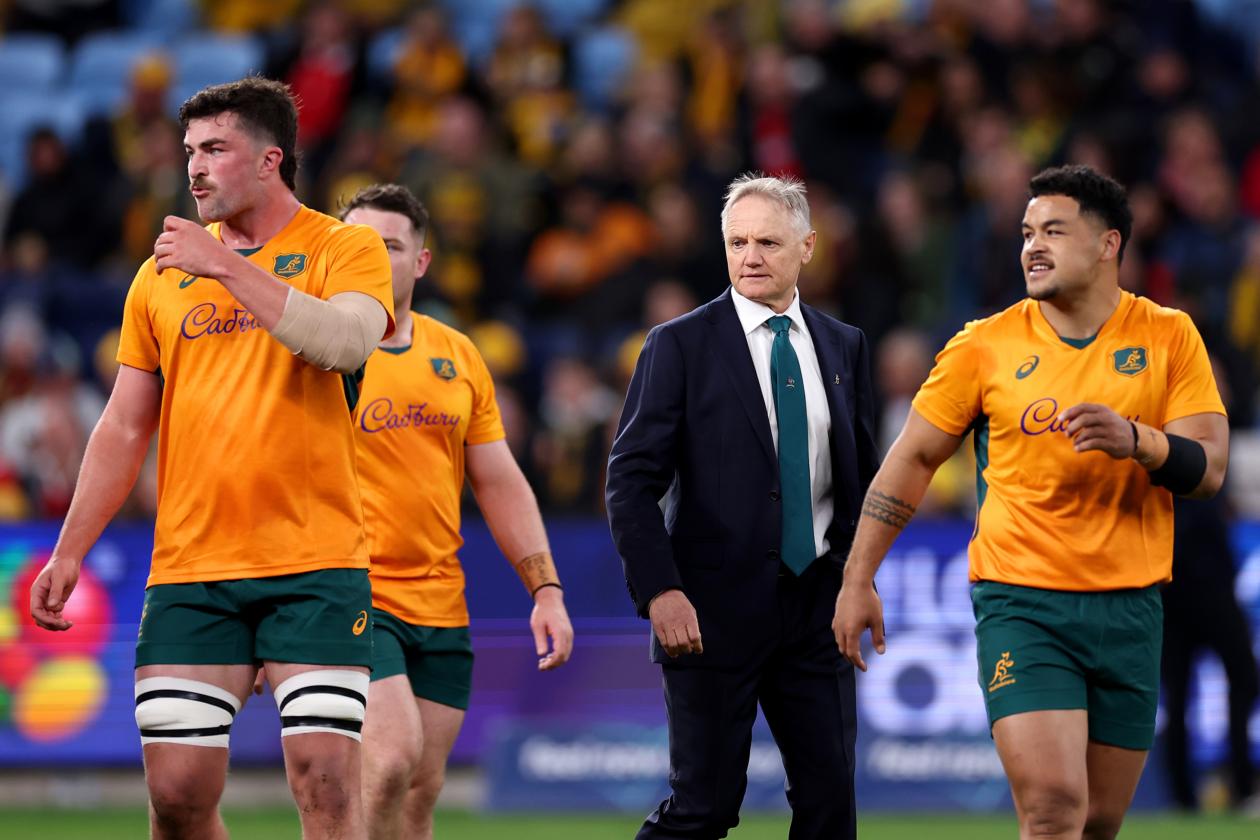 Joe Schmidt at Allianz Stadium.