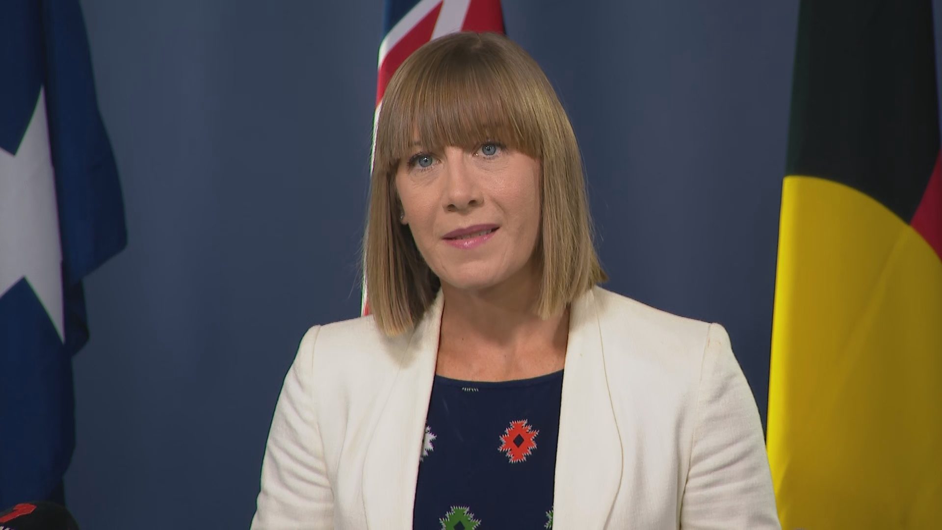 NSW Minister for Transport Jo Haylen has stepped down after it was revealed that she used her ministerial driver for personal reasons.