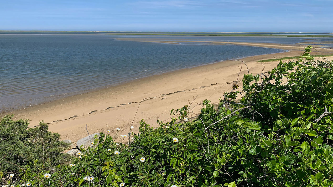 The 24-acre island is located just off the coast of Cape Cod in an area known as Pleasant Bay - an area that is of critical environmental concern.