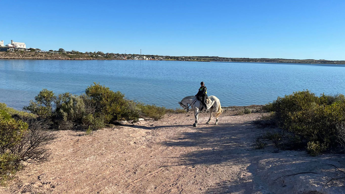 Police search for missing Queensland woman Julie in South Australia