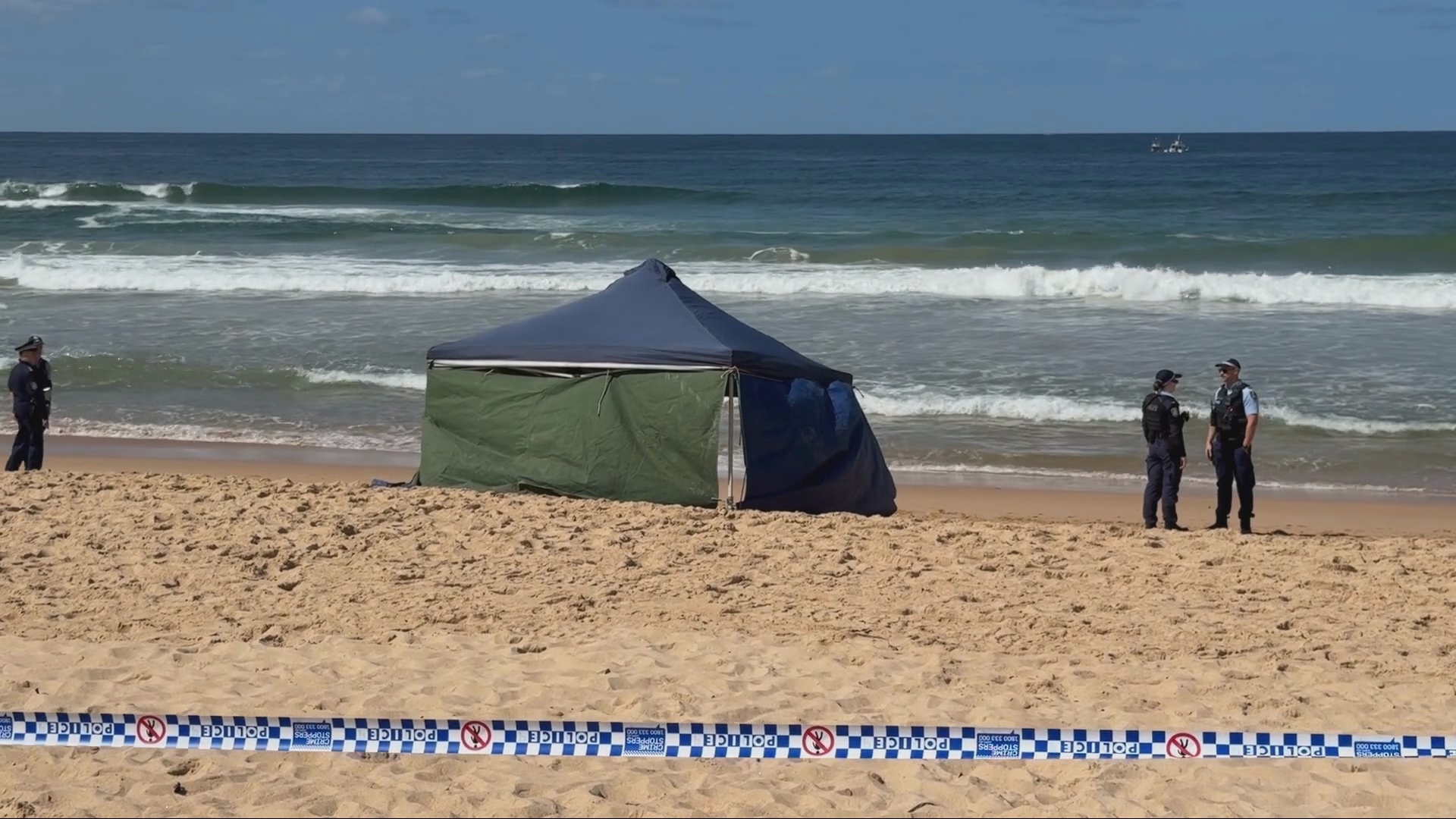 A surfer has been killed by a shark at a popular beach on Sydney's Northern Beaches. Dee Why.