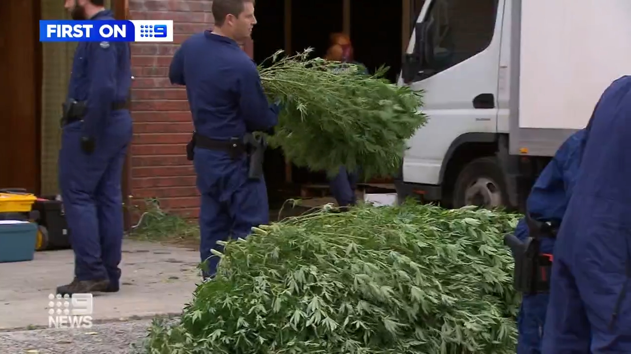 Police bust 3 million grow house in Melbourne factory after tipoff
