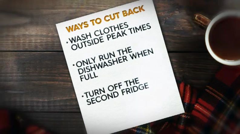 Experts have also suggested that households keep their windows and excess doors to empty rooms closed, as well as washing clothes at non-peak hour times and turning off extra fridges needed during summer. 