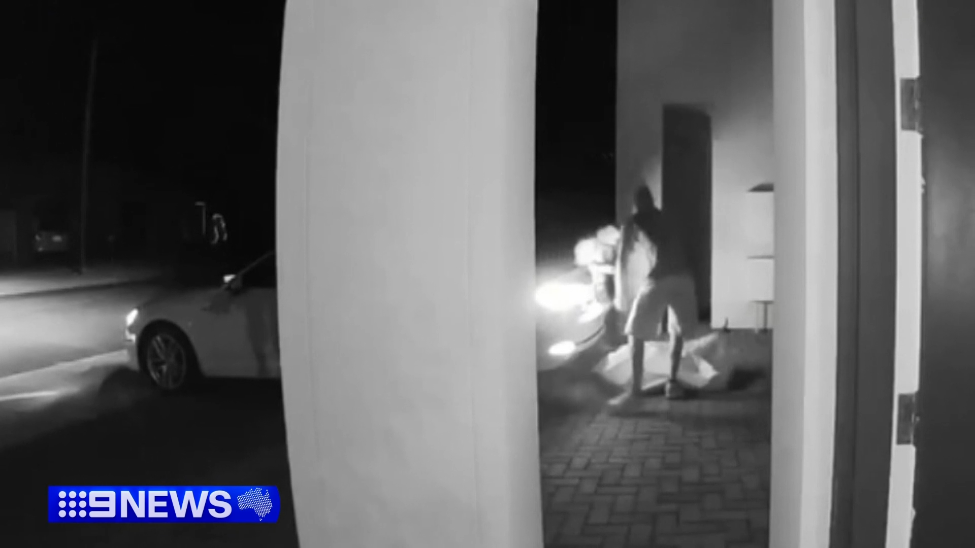 Model shaken after thieves steal almost $800k