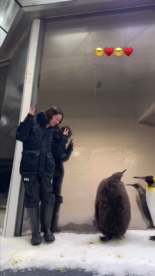 Olivia Rodrigo meets pesto the penguin