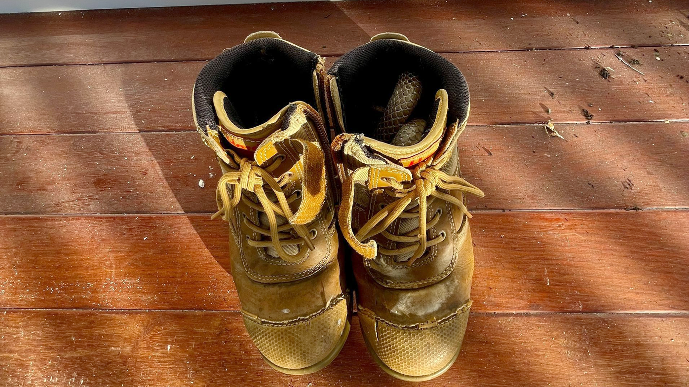 Gunter Glasser said the tradie was lucky to have seen the scales, which almost blended into the interior of the shoe.