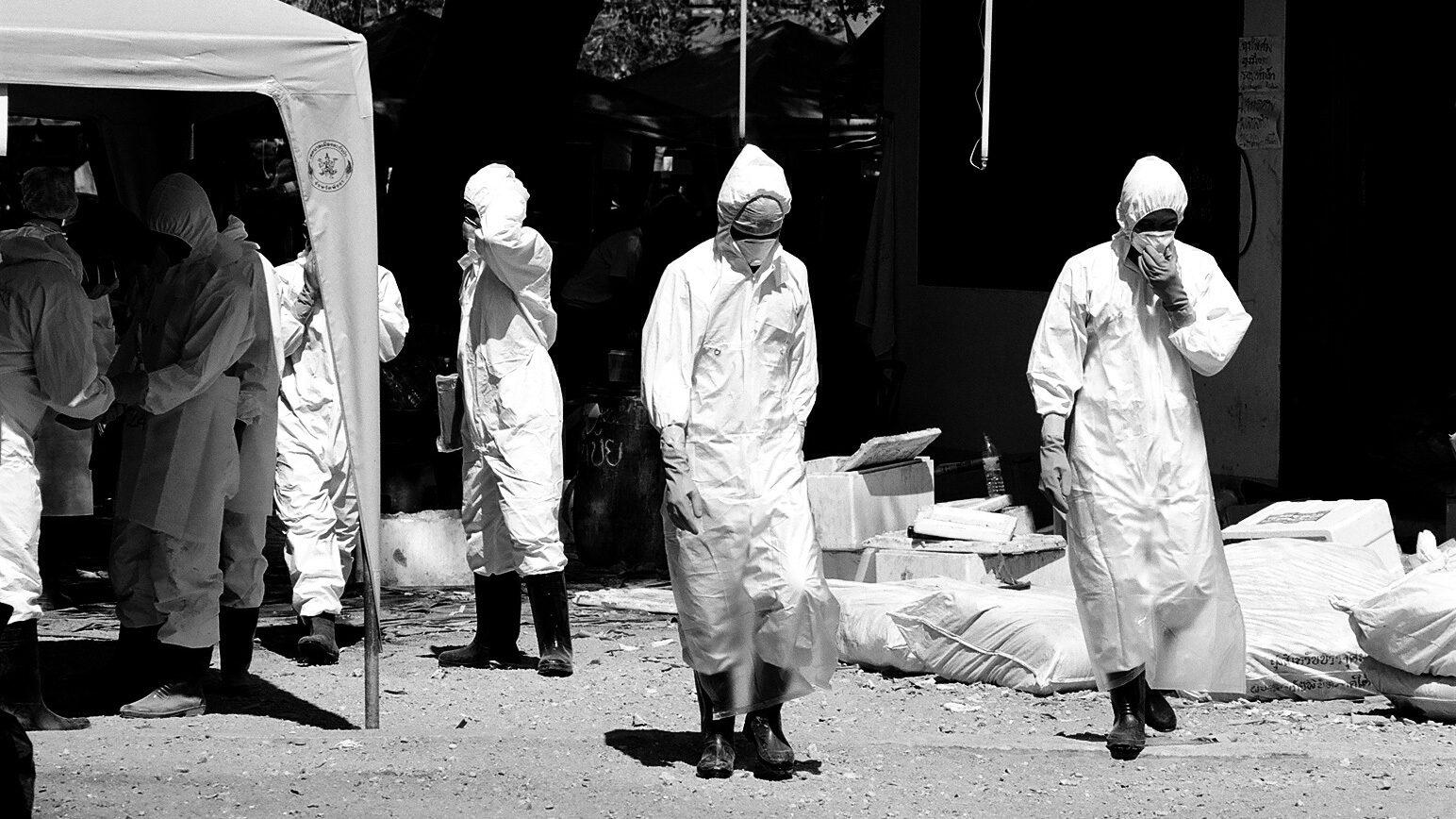 Forensic workers at the scene after the Boxing Day tusnami, which killed 5400 people in Thailand.