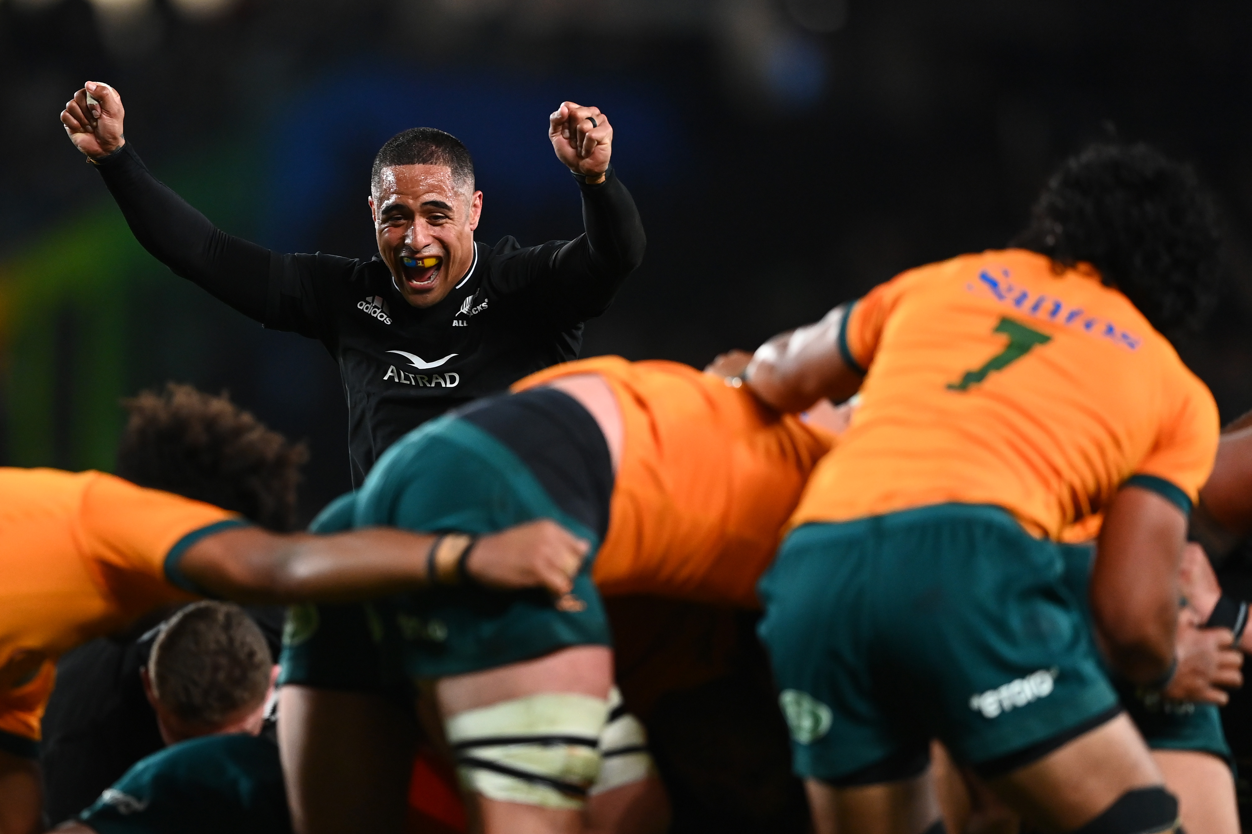 Bledisloe Cup 2022 Wallabies vs All Blacks reaction, news, highlights