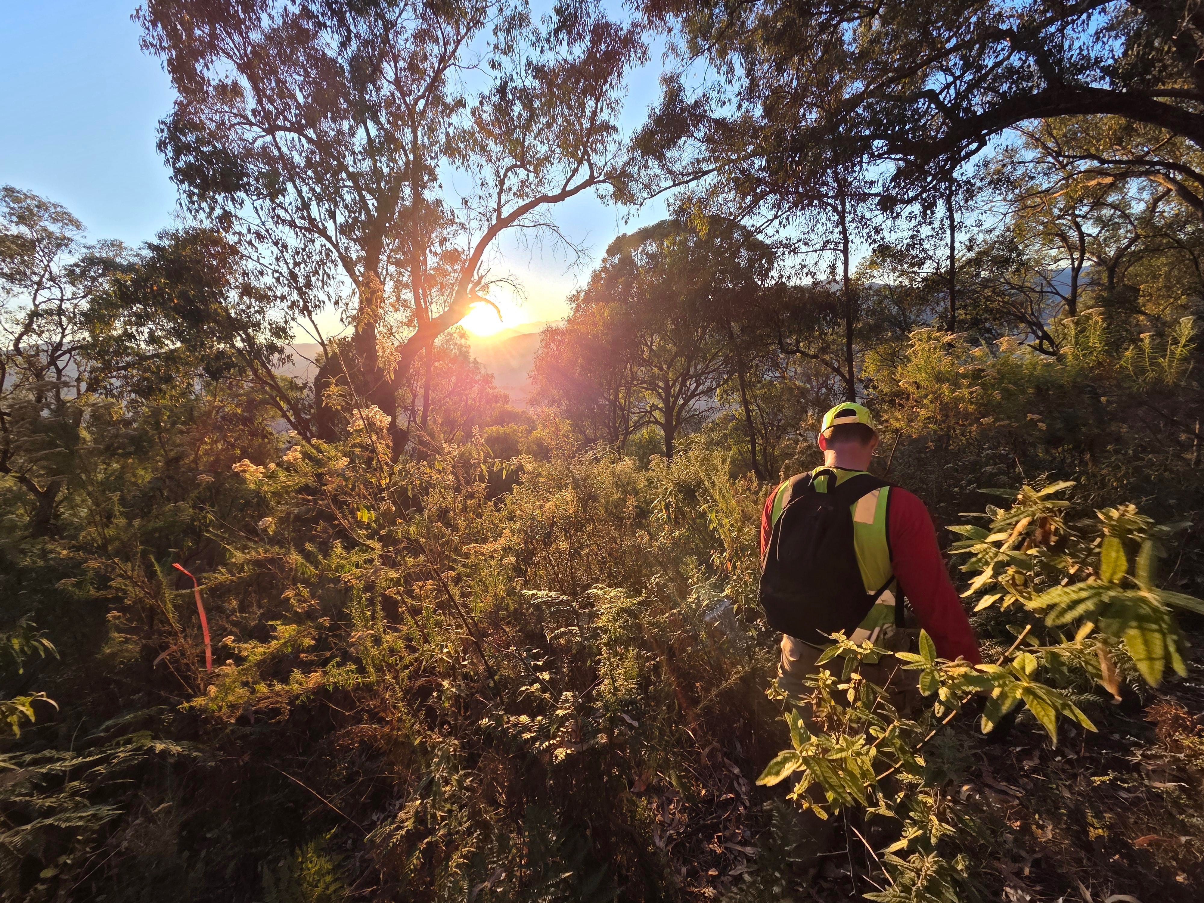 Police and volunteers wrapped up their extensive five-day search today.