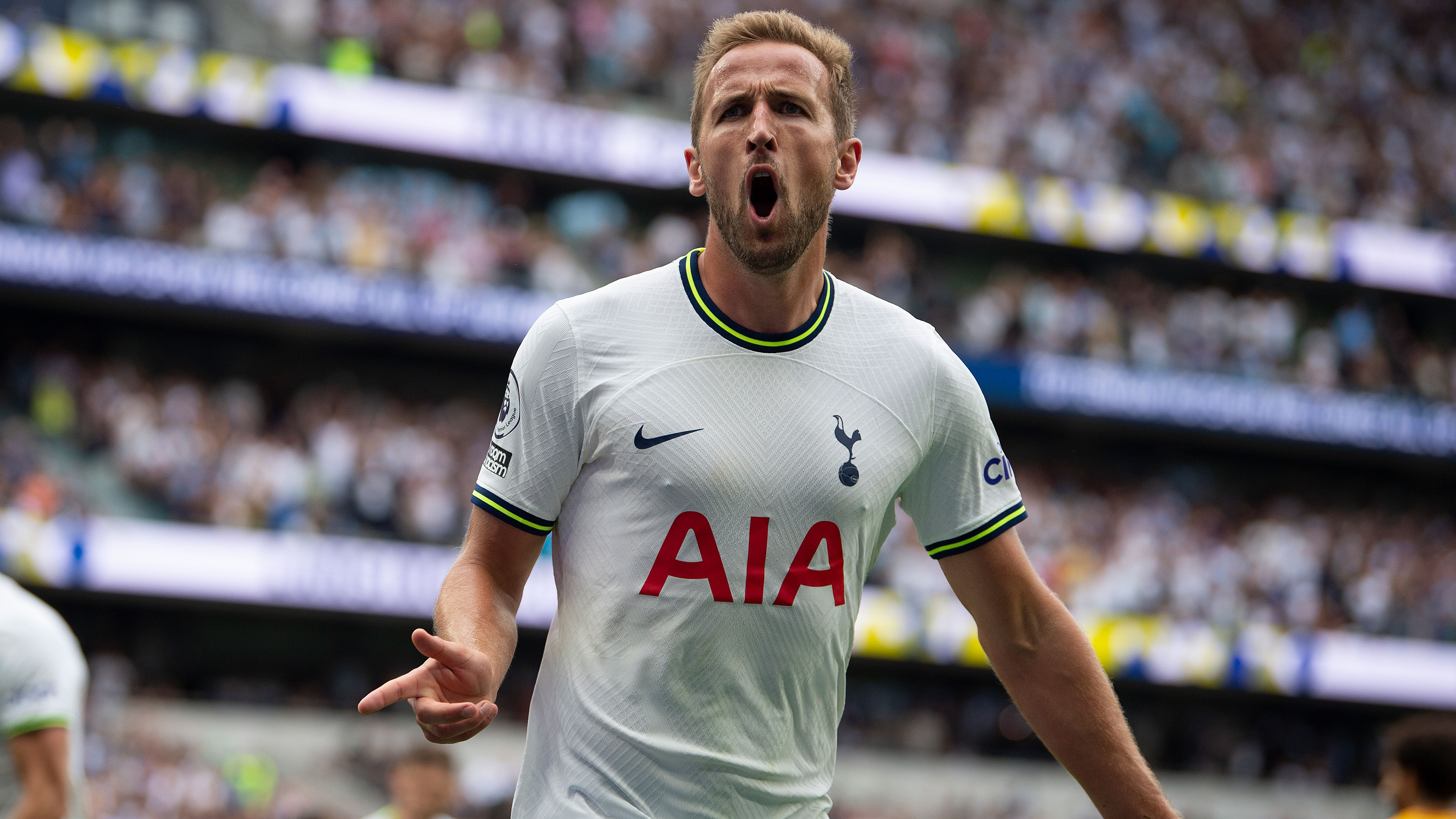 Harry Kane celebrates scoring the winning goal for Tottenham Hotspur against Wolverhampton Wanderers.