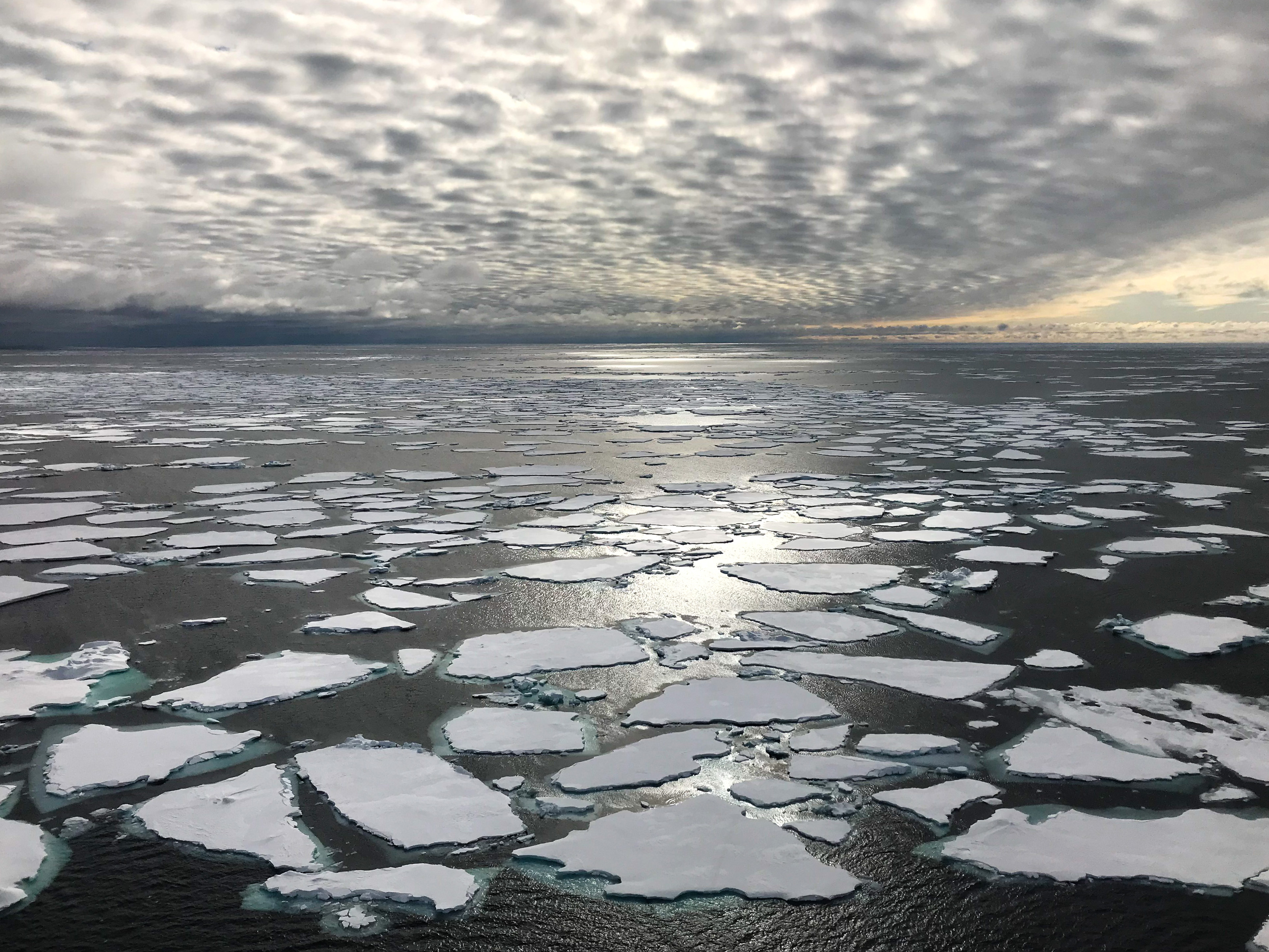 Ice floes are shown in the Fram Strait between Greenland & Svalbard, the main gateway through which sea ice leaves the Arctic Ocean. Sea ice in the Arctic has been declining dramatically as the region warms.