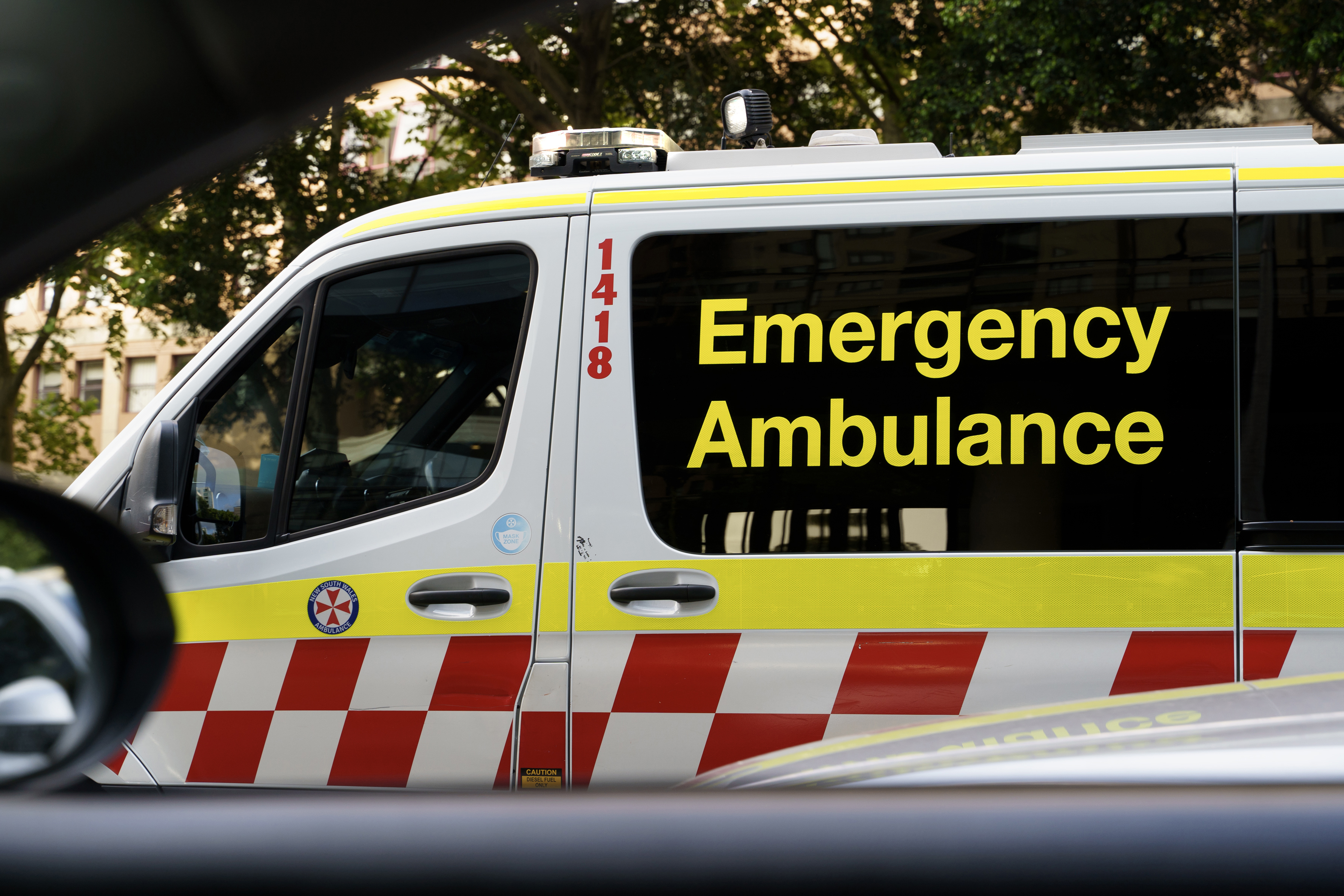 A﻿ young boy is recovering after a dog attack on the NSW central coast.