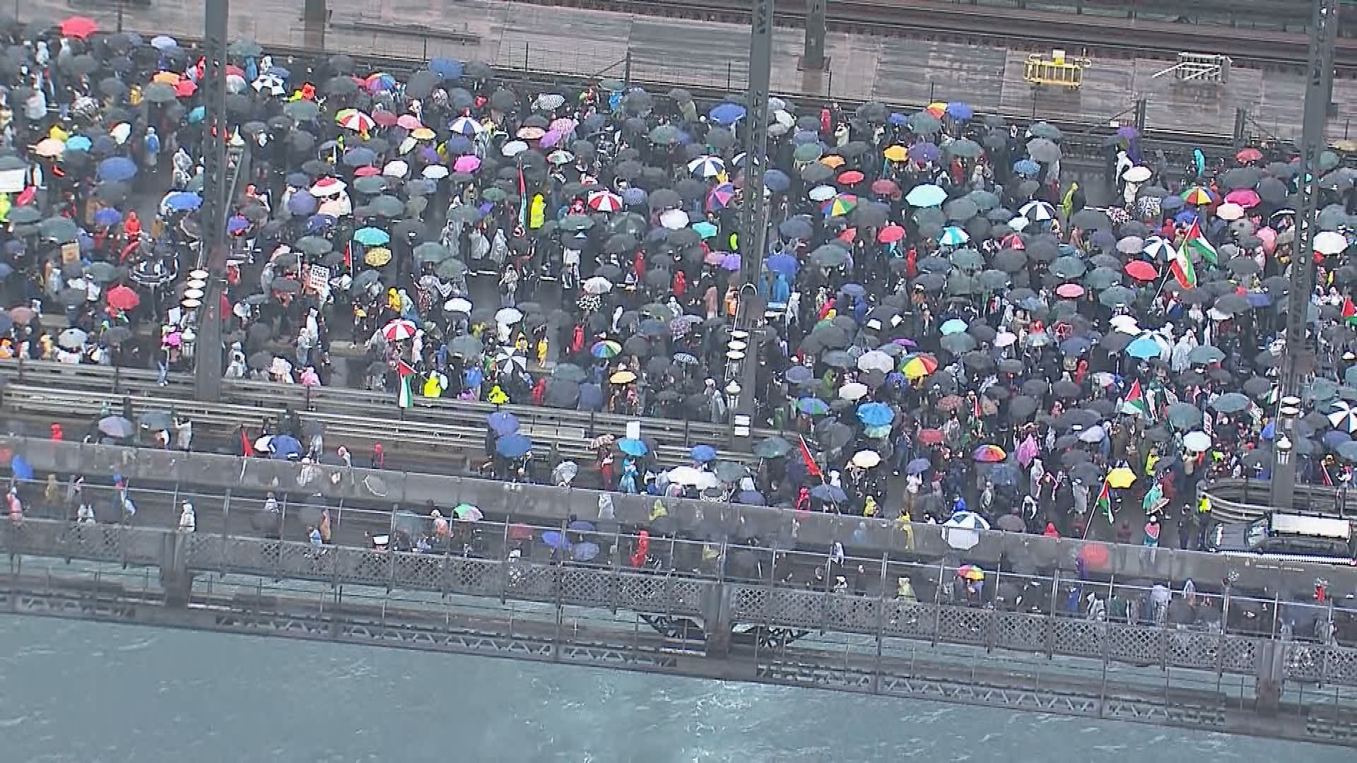Remarkable sight before Harbour Bridge march halted 