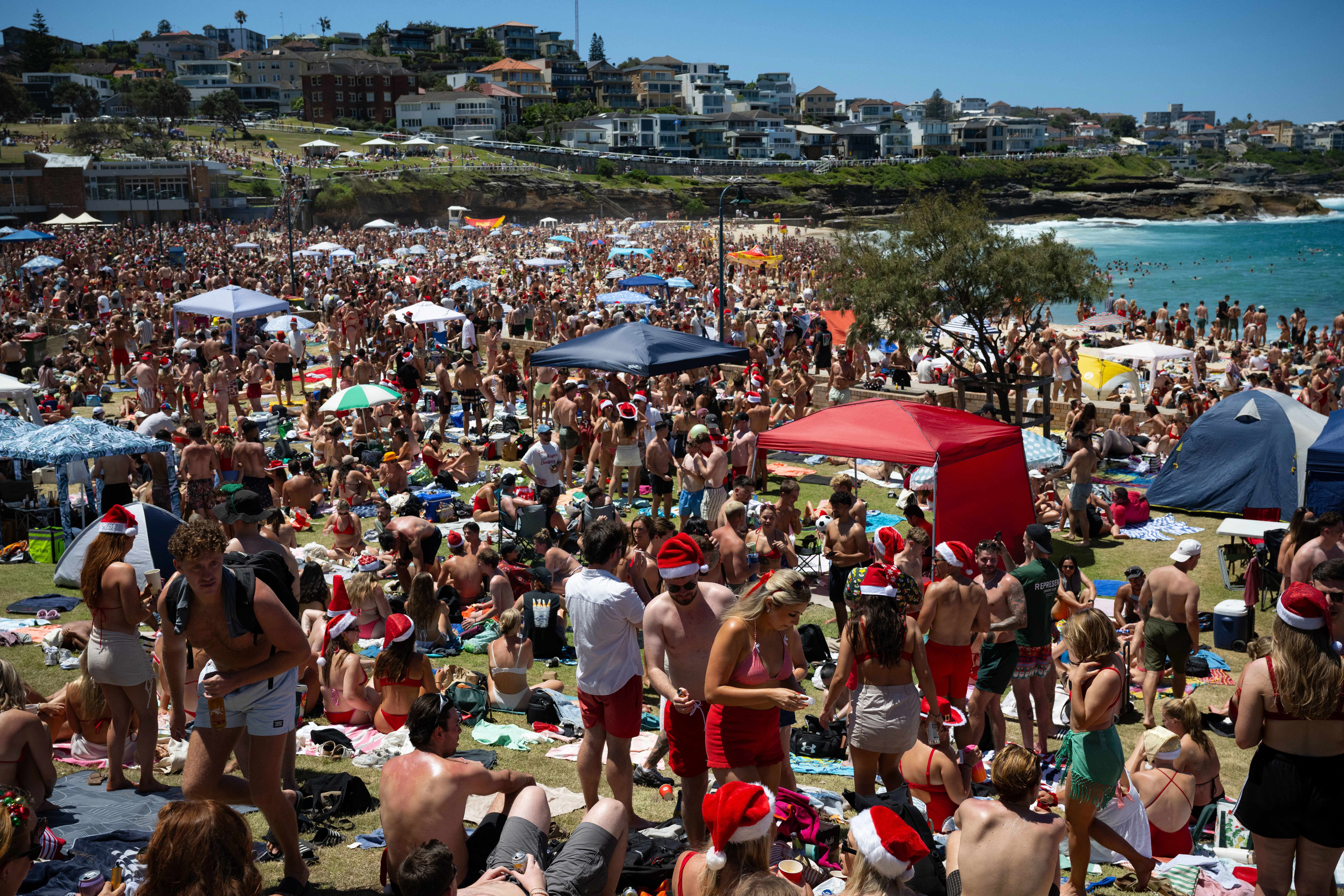 Waverley Council has urged backpackers to stay away from Bronte Beach on Christmas Day.