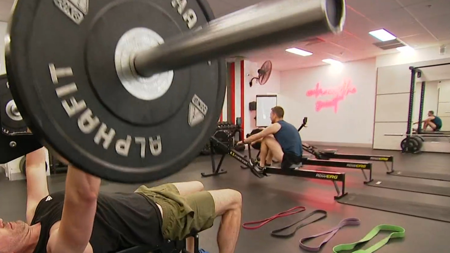 Free or subsidised gym memberships are being pledged by the South Australian Greens as part of their 2026 election push.