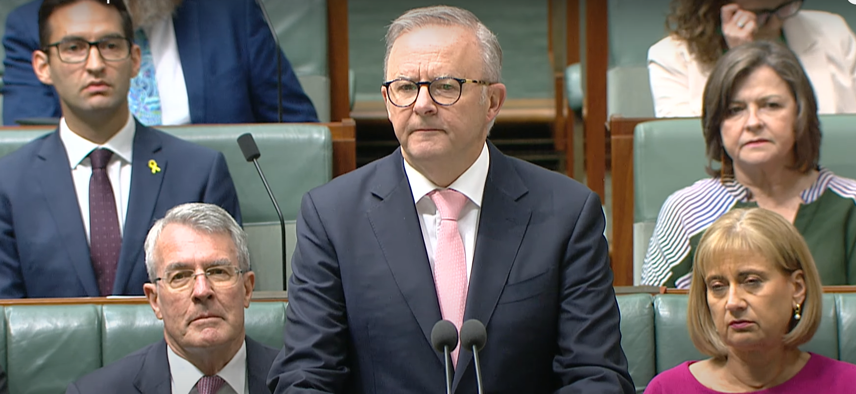 Prime Minister Anthony Albanese in the House of Representatives. 