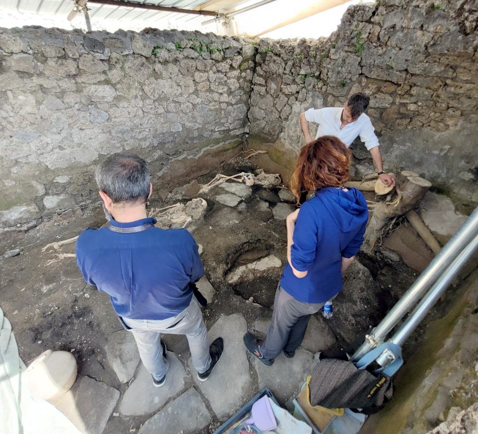 The remains were unearthed in an area known as Regio IX, which was a commercial part of Pompeii. 