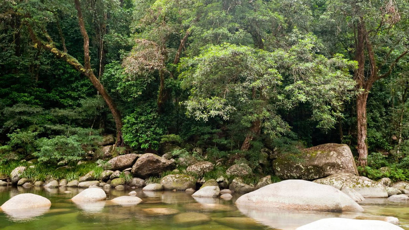 Mossman Gorge is a popular tourist spot in Far North Queensland.