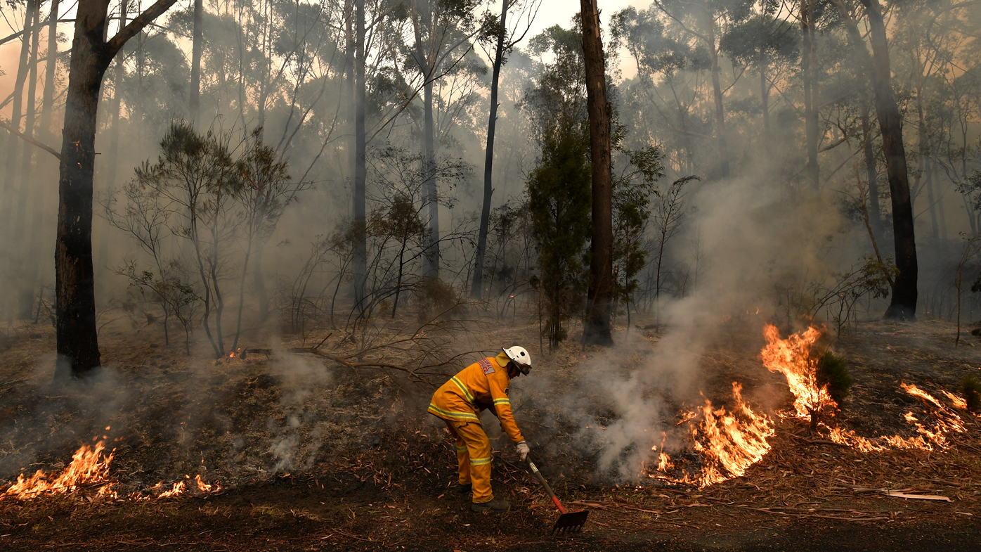 Nsw Bushfires Cops Round Up Two Dozen Alleged Firestarters