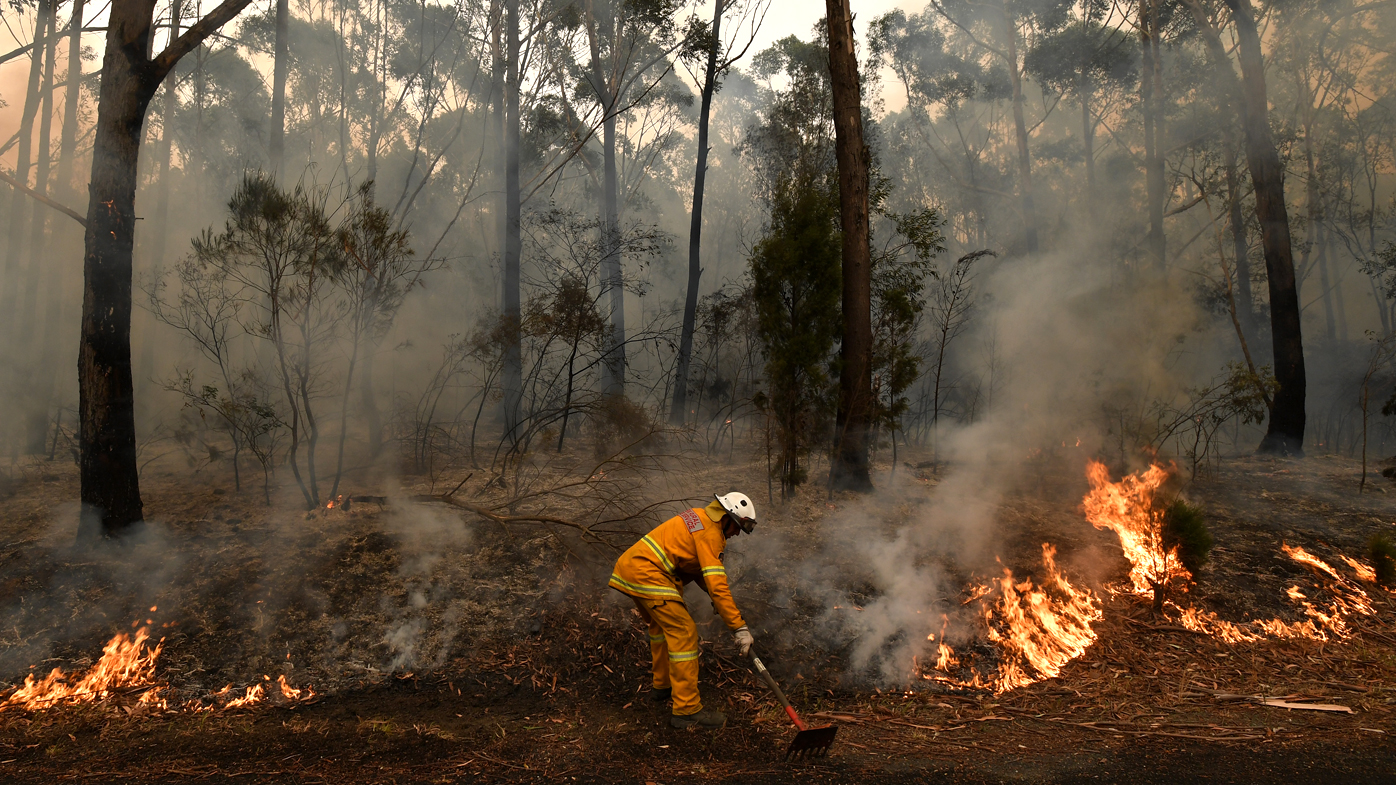 Rural Fire Service volunteers and Fire and Rescue NSW officers contain a small bushfire which closed the Princes Highway south of Ulladulla.