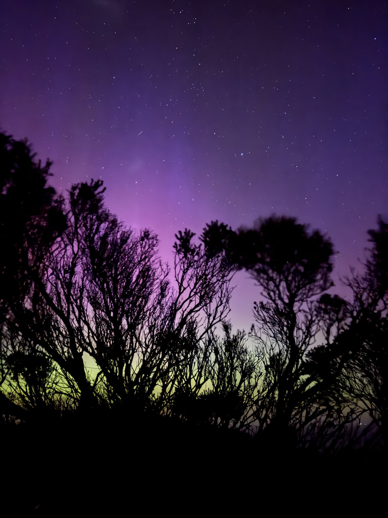 Mornington Peninsula Shire Mayor Anthony Marsh captured the aurora australis from Cape Schanck.