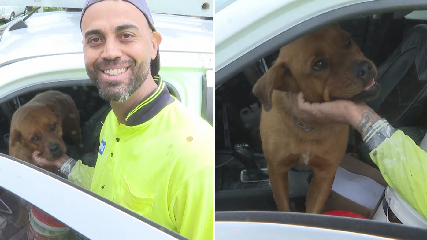 Local Leo was driving down Elizabeth Drive when he noticed the fire, quickly jumping into action and saving a dog from the backyard of the burning home