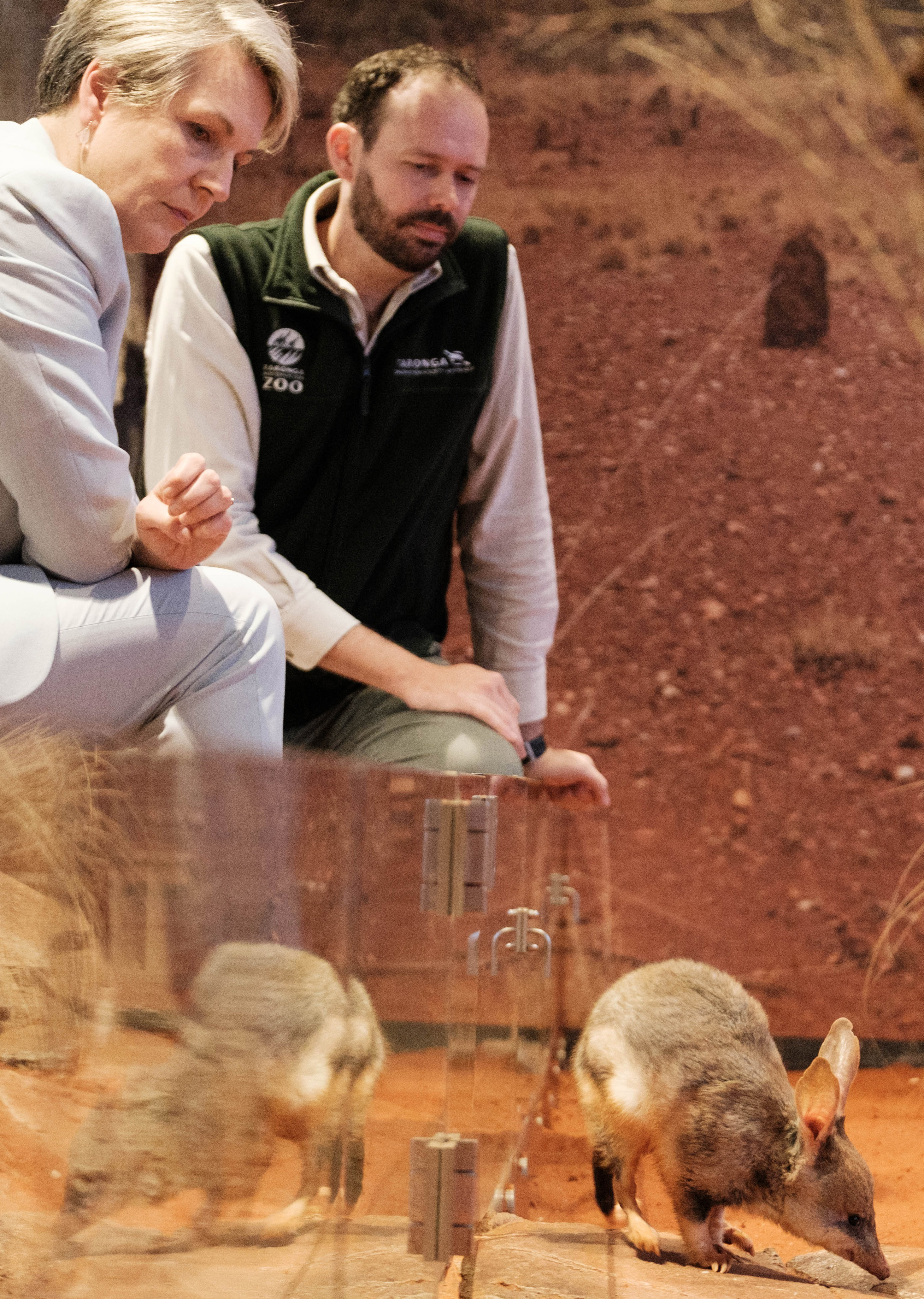 Federal Minister for the Environment Tanya Plibersek visits Taronga Zoo to announce its Threatened Species Action Plan.