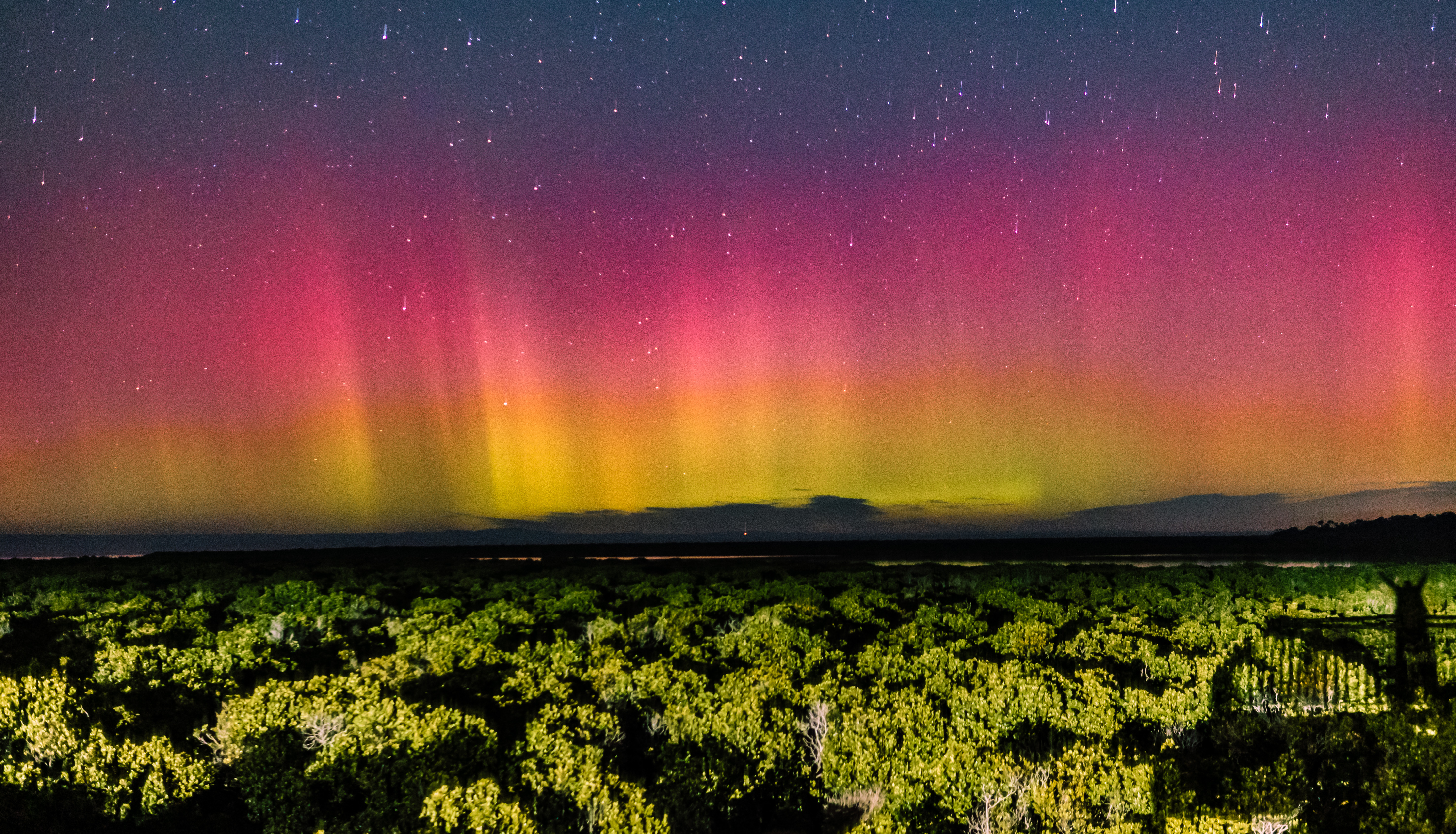 Aurora australis: Where to find the 'magical' southern