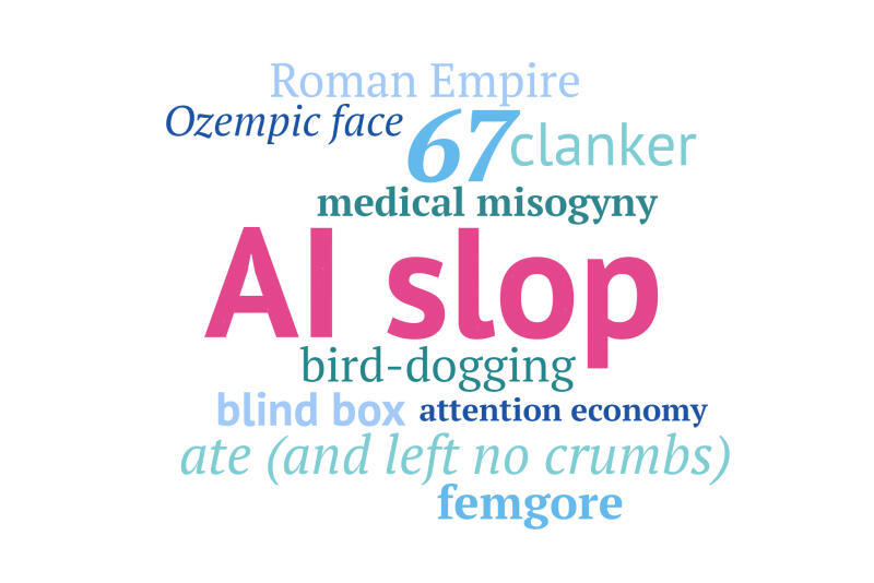 AI Slop has been named the Macquarie Dictionary Word of the Year.