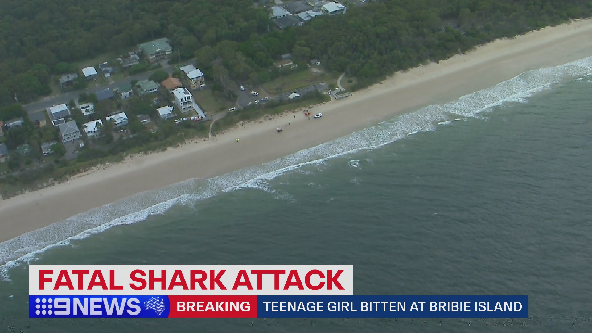It's believed the girl was attacked about 100 metres off the shore.