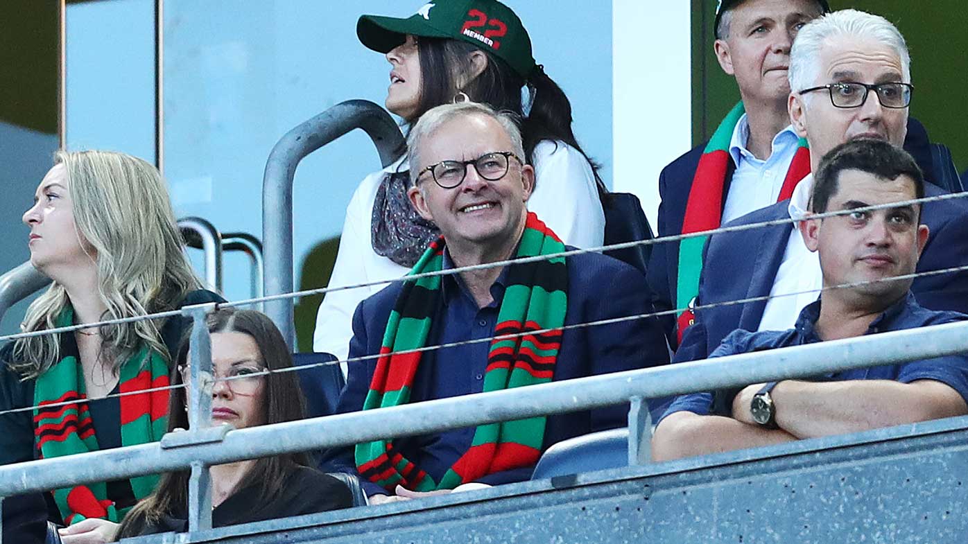 Anthony Albanese watching the South Sydney Rabbitohs.