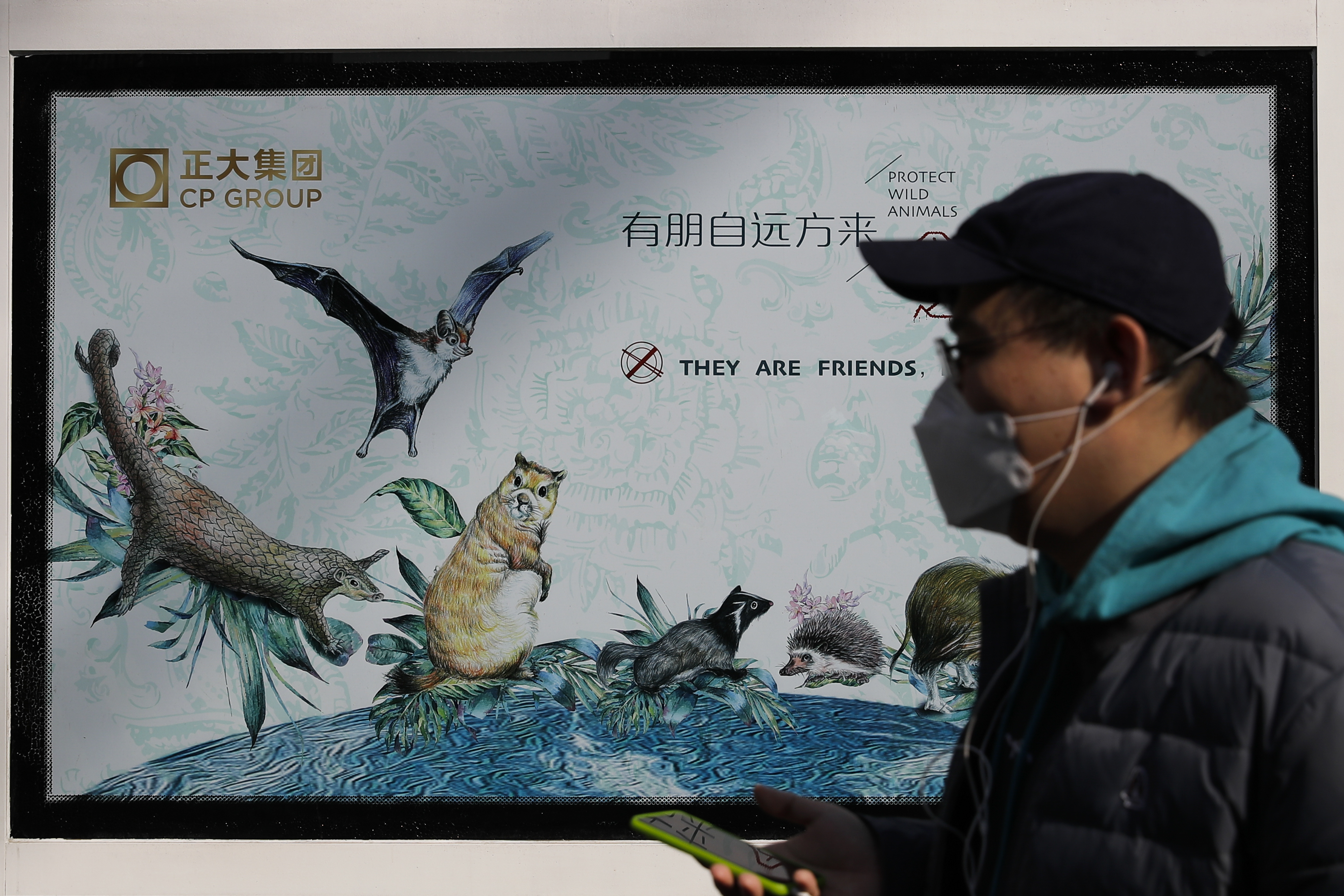 Propaganda posters promote the protection of wildlife after authorities crackdown on animal markets following the coronavirus outbreak.