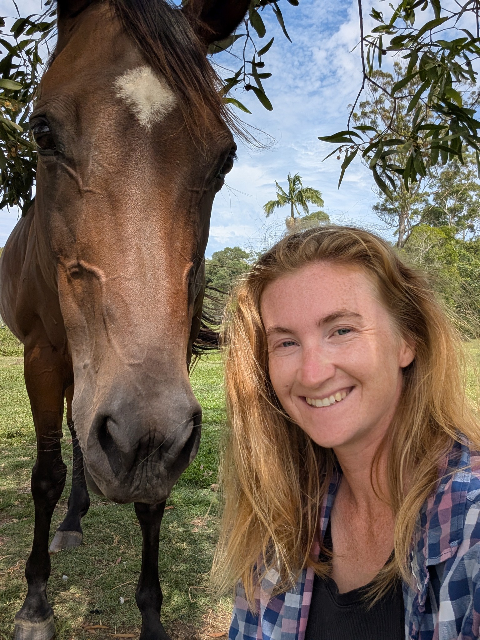 Missy Duckworth dreamed of inheriting her family farm and then passing it down to her own children.