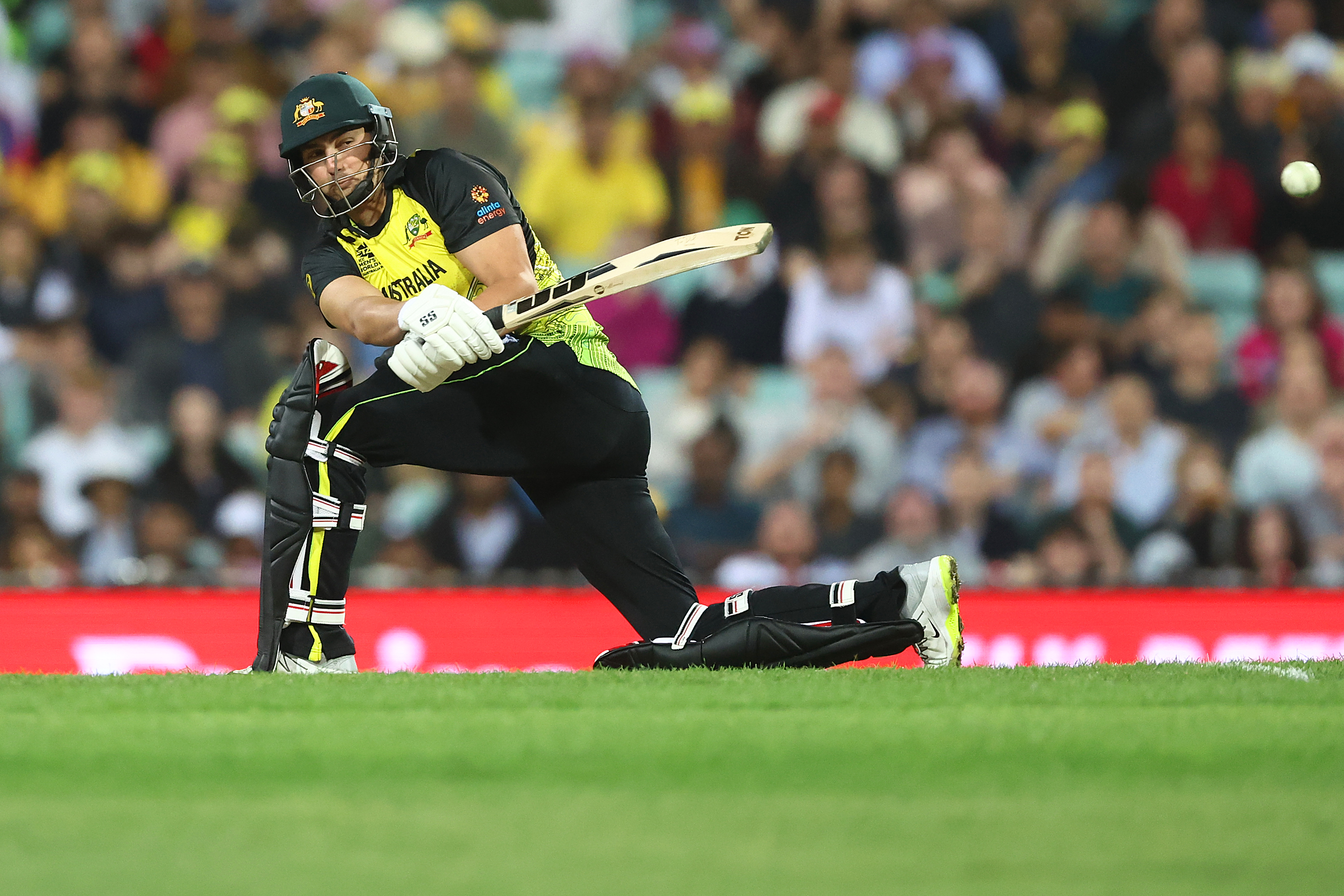 SYDNEY, AUSTRALIA - OCTOBER 22: Tim David of Australia bats during the ICC Men's T20 World Cup match between Australia and New Zealand at Sydney Cricket Ground on October 22, 2022 in Sydney, Australia. (Photo by Mark Metcalfe-ICC/ICC via Getty Images,)