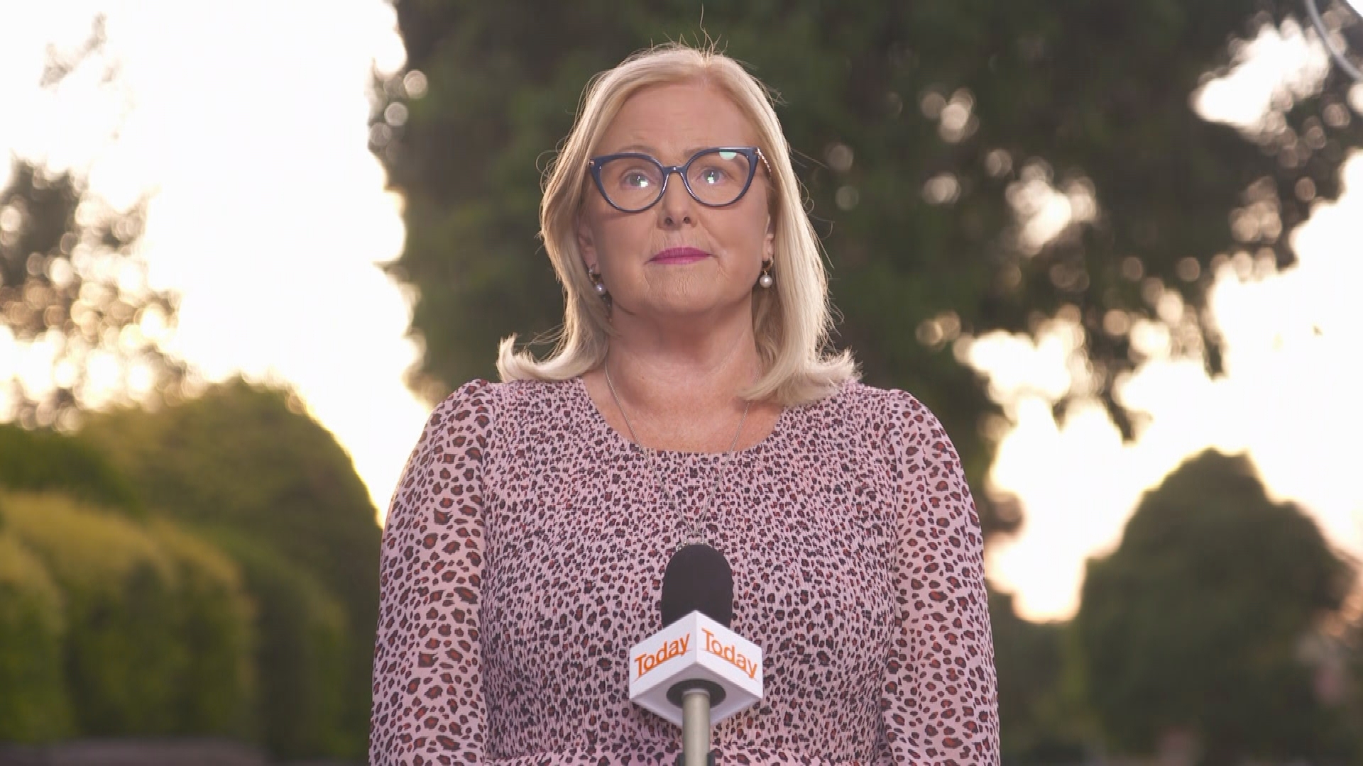 Cyber security expert Susan McLean has urged the government to consider a TikTok ban.