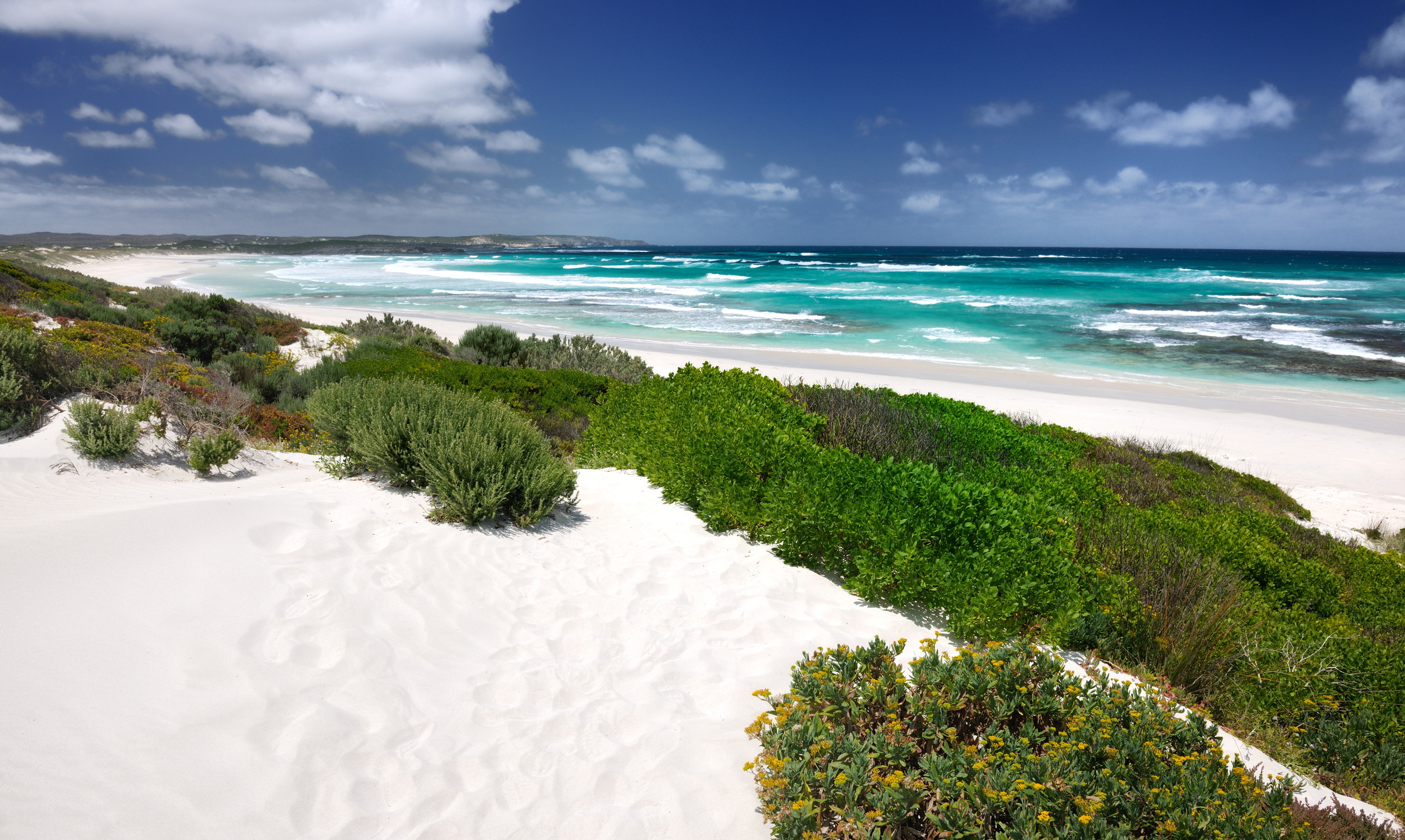 Live alongside a seal colony at this Kangaroo Island oasis