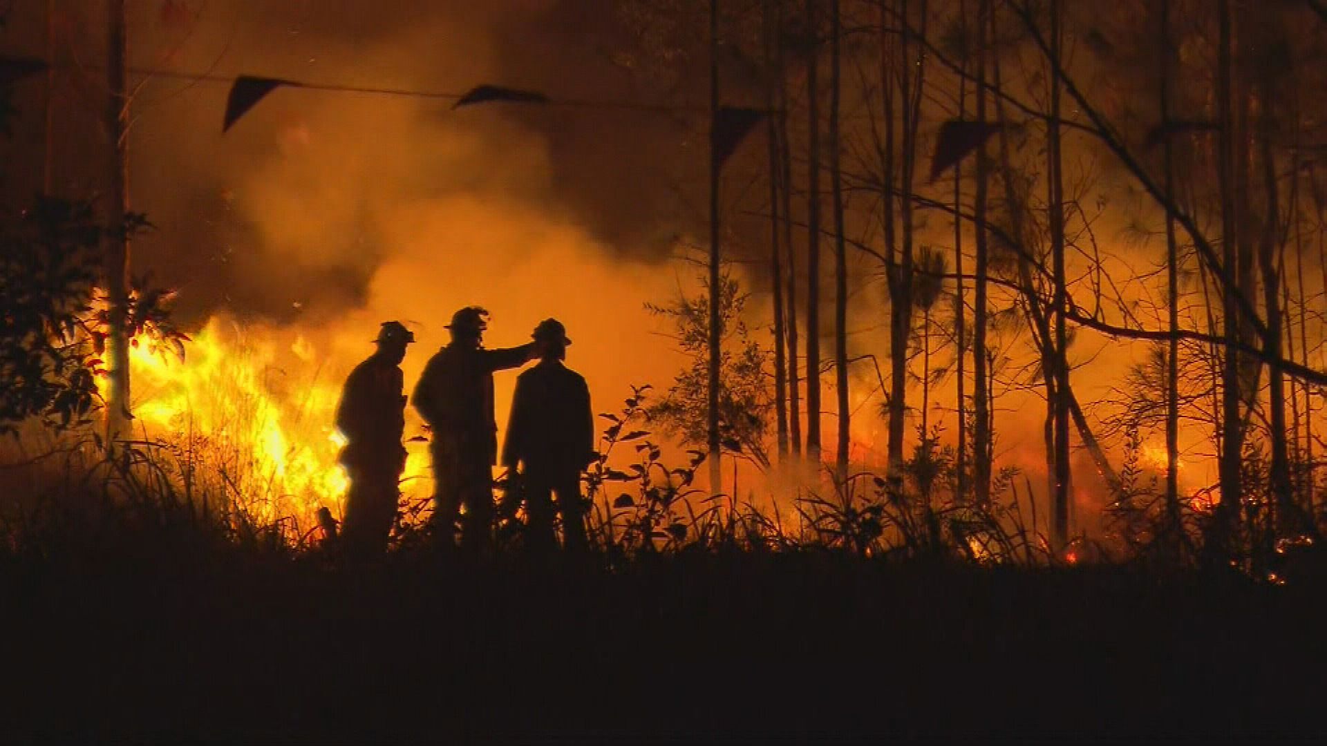 Queensland bushfires