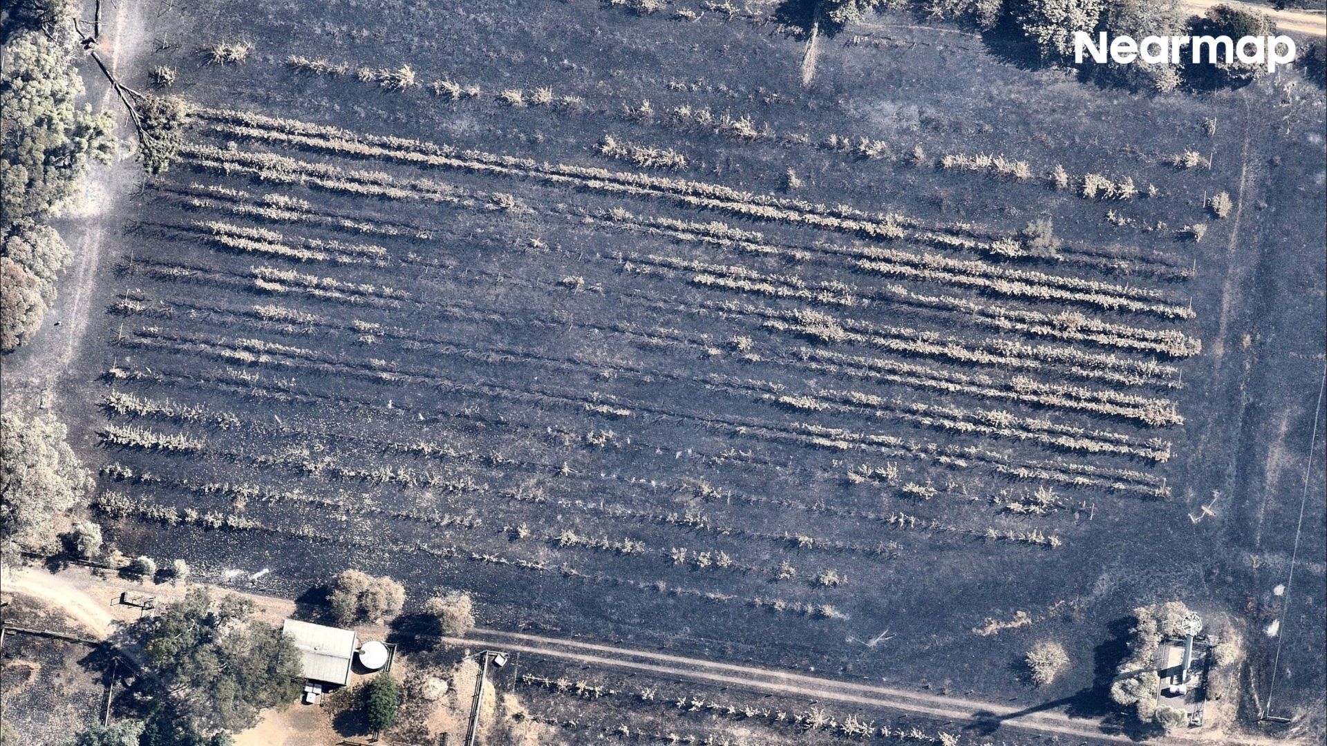 Harcourt on January 14, 2026.