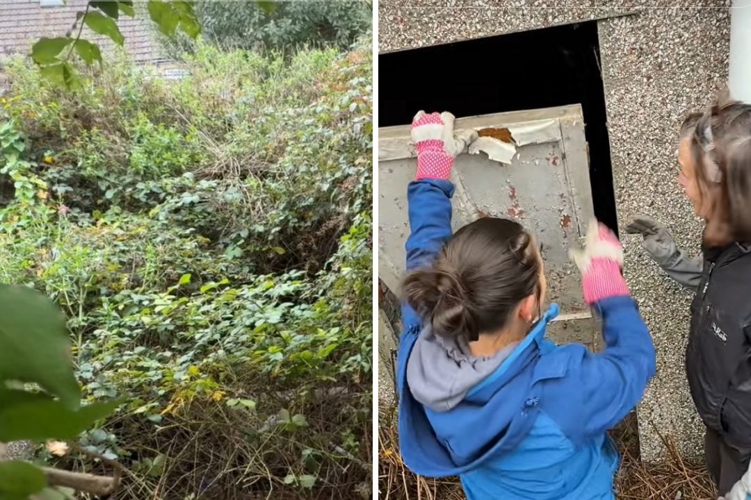 'I'm in shock': Woman uncovers secret door at bottom of garden